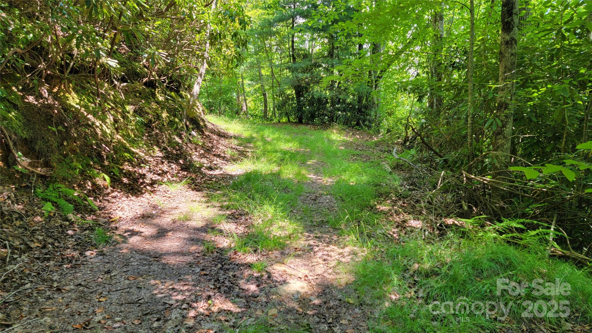 Tbd Frozen Creek Road Property Photo 23