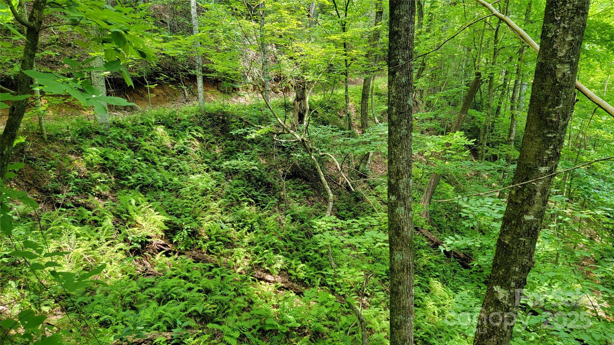 Tbd Frozen Creek Road Property Photo 27