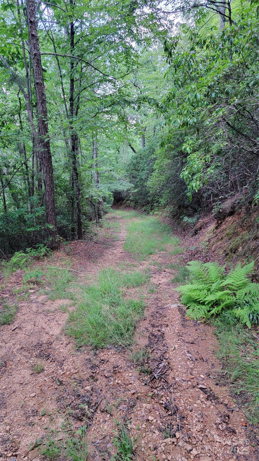 Tbd Frozen Creek Road Property Photo 29