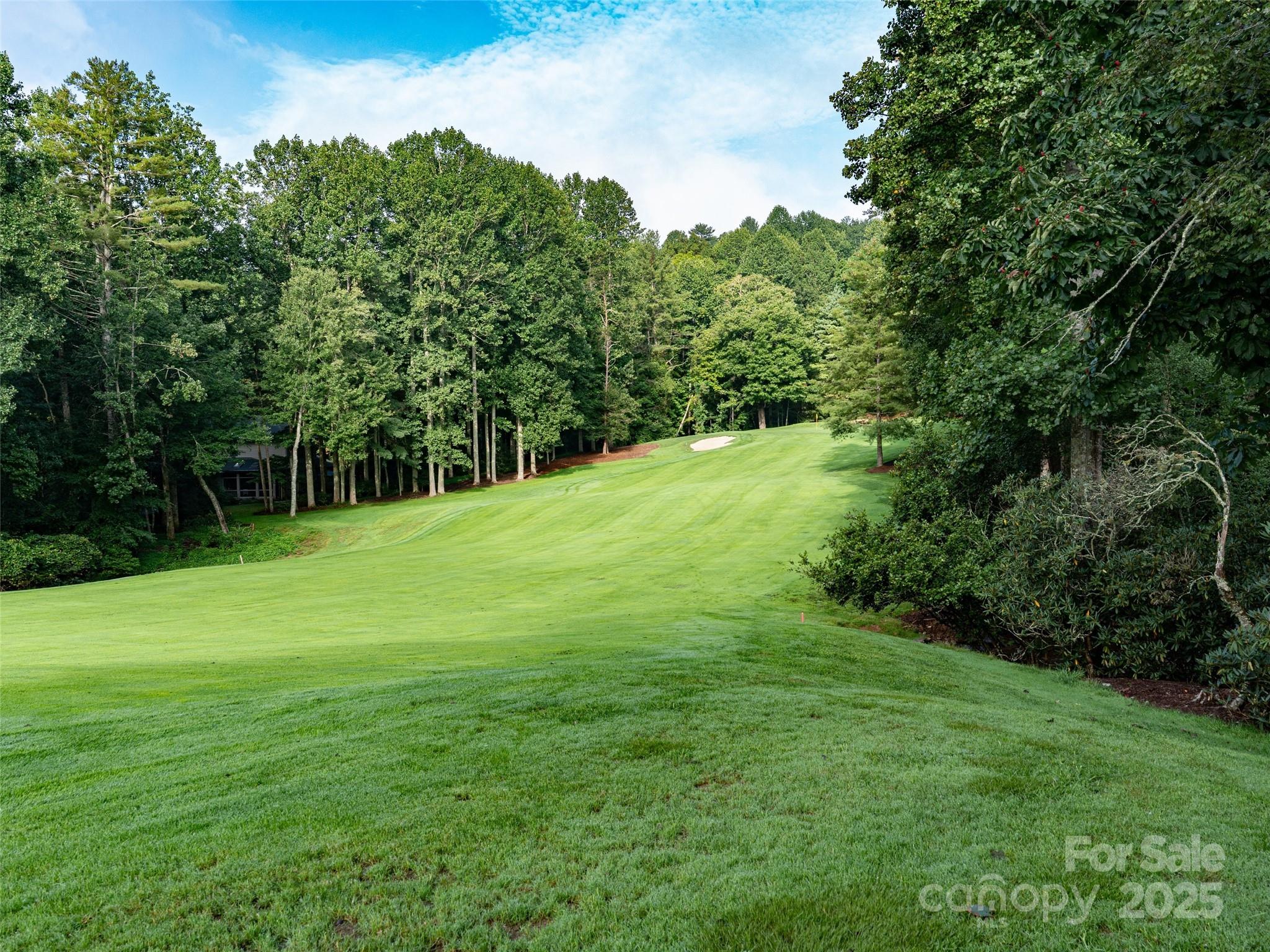 153 Chattooga Run 228 Property Photo 12