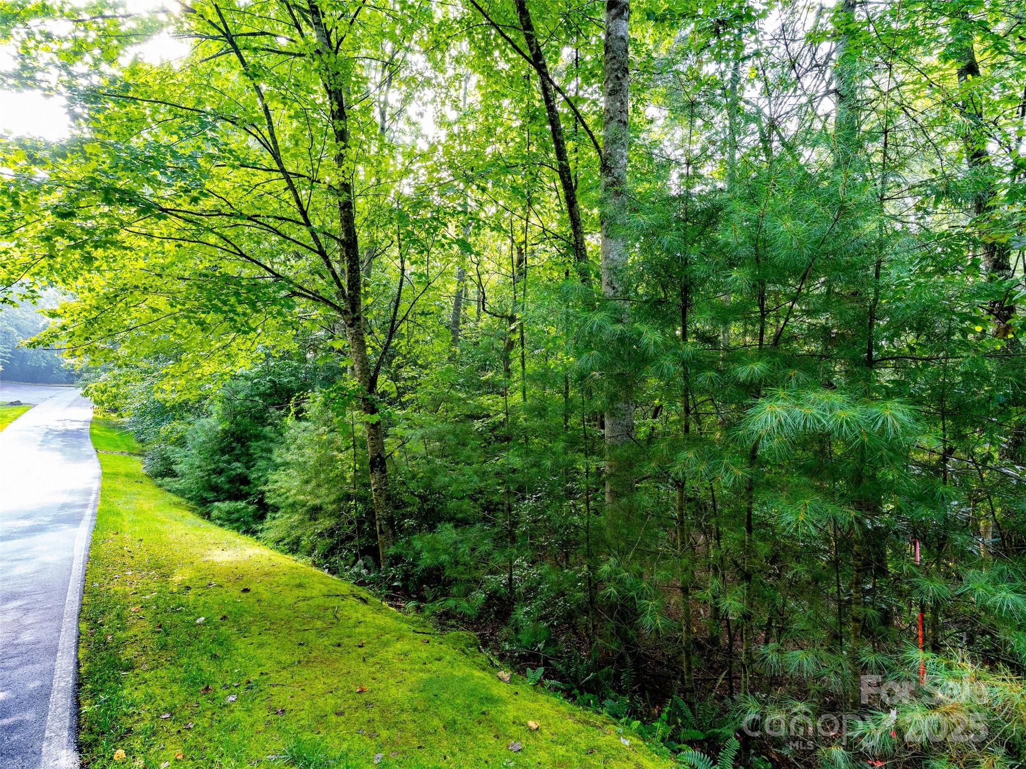 153 Chattooga Run 228 Property Photo 14