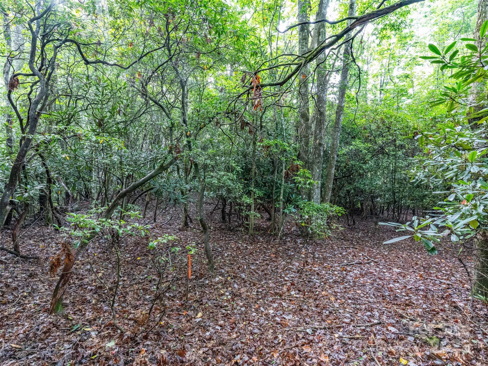 153 Chattooga Run 228 Property Photo 15