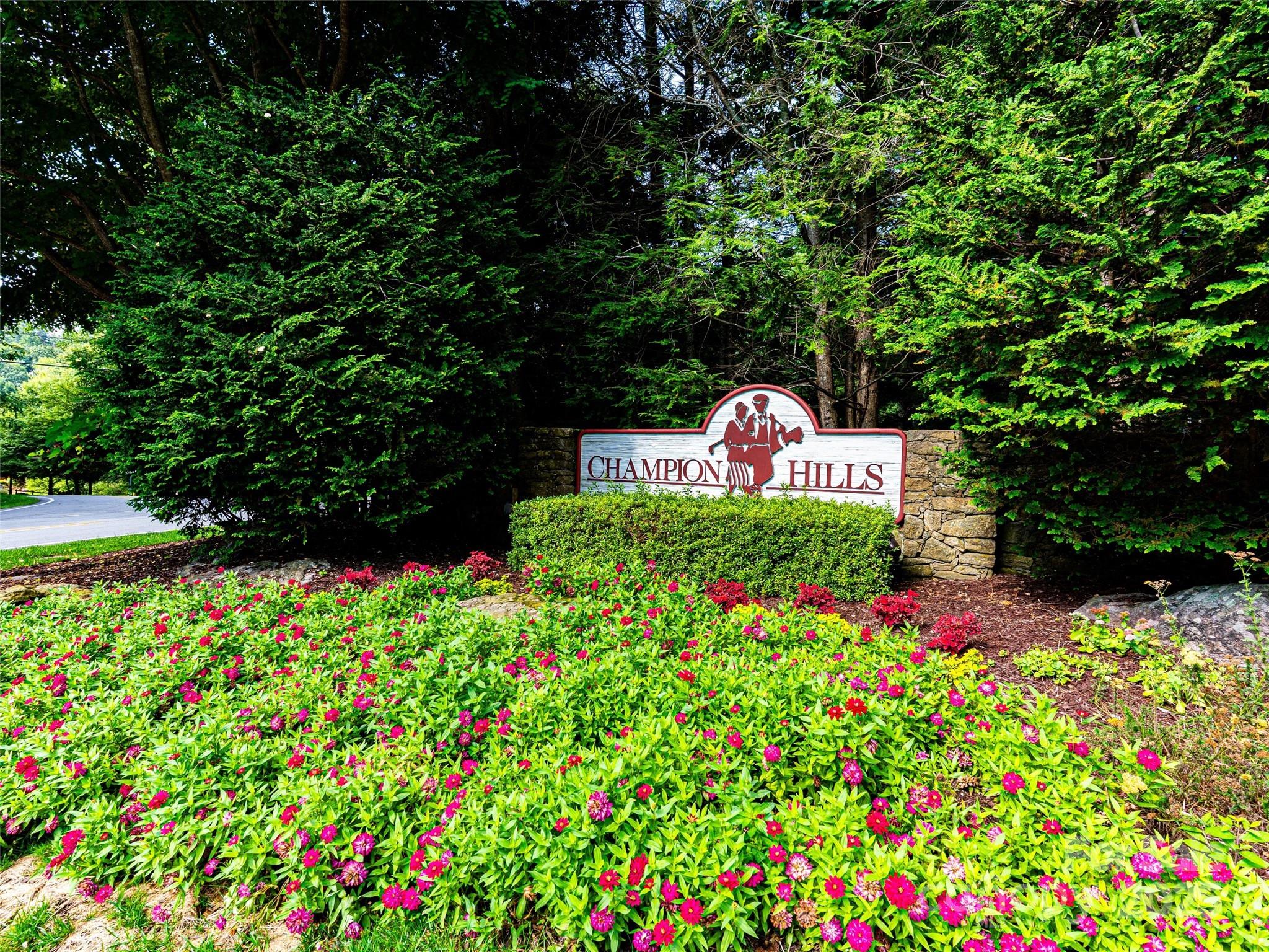 153 Chattooga Run 228 Property Photo 22
