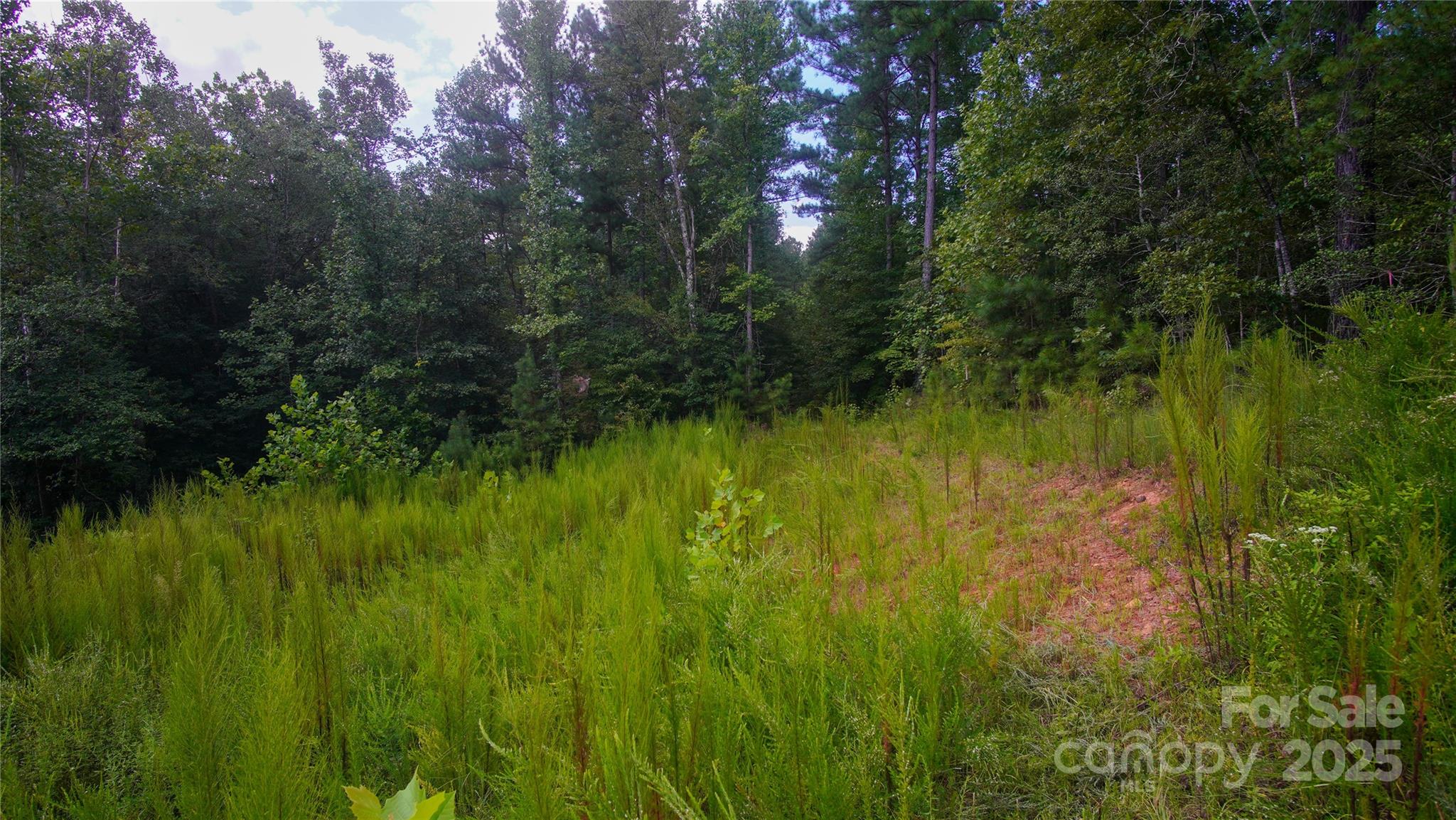 00 Scenic Drive 182 Property Photo 2