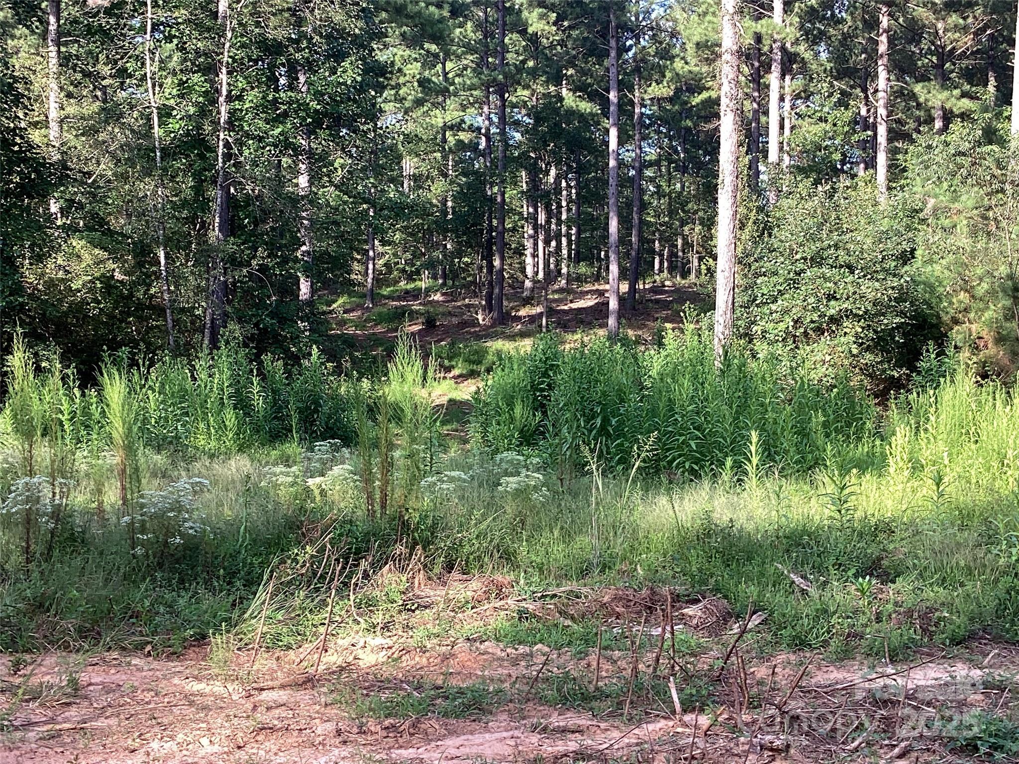 00 Scenic Drive 182 Property Photo 5