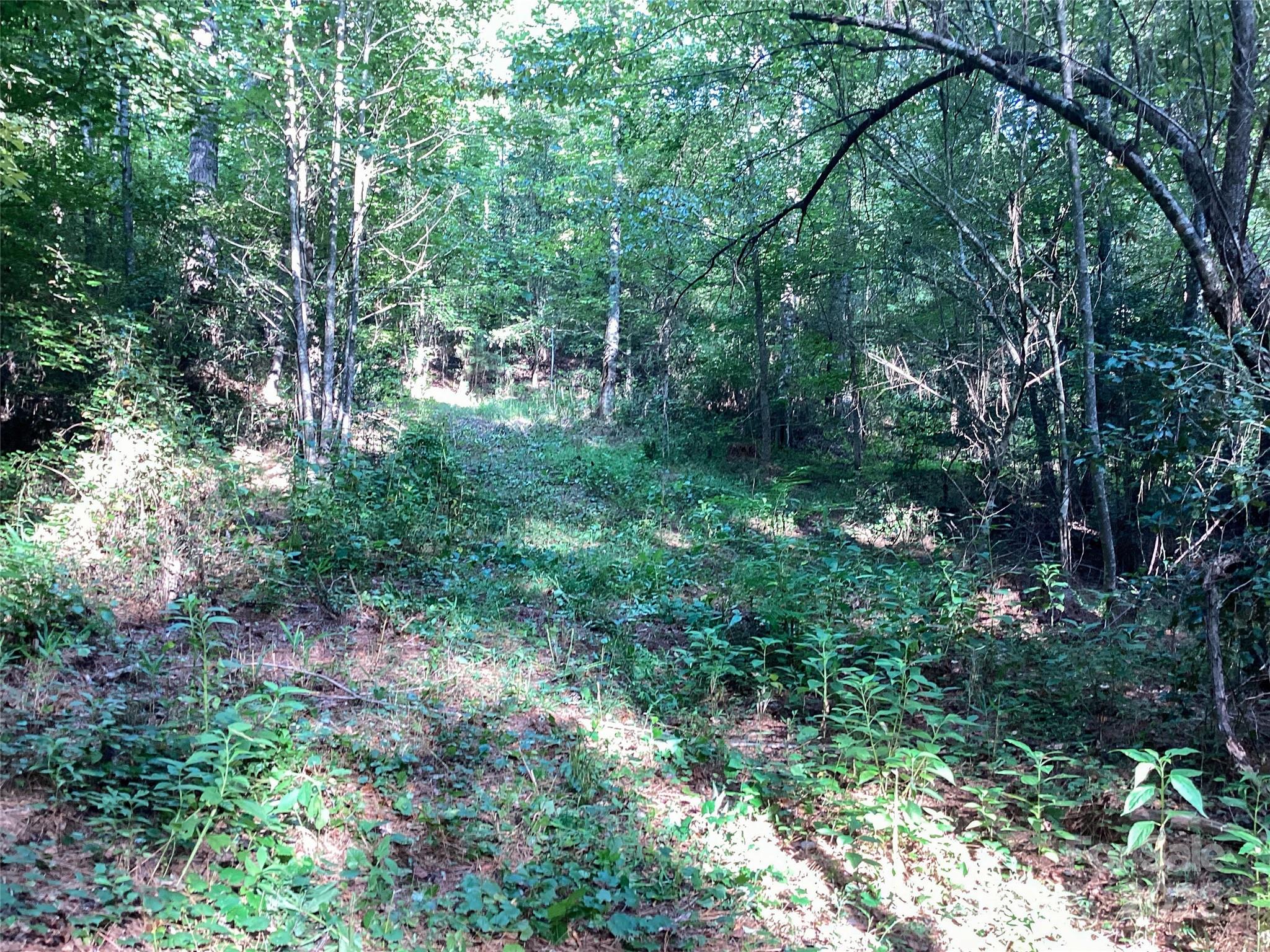 00 Scenic Drive 182 Property Photo 6