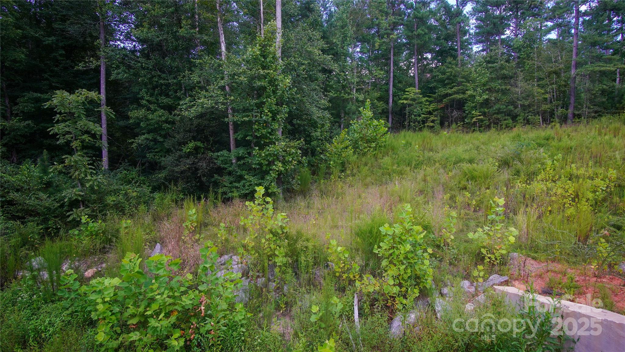 00 Scenic Drive 182 Property Photo 7