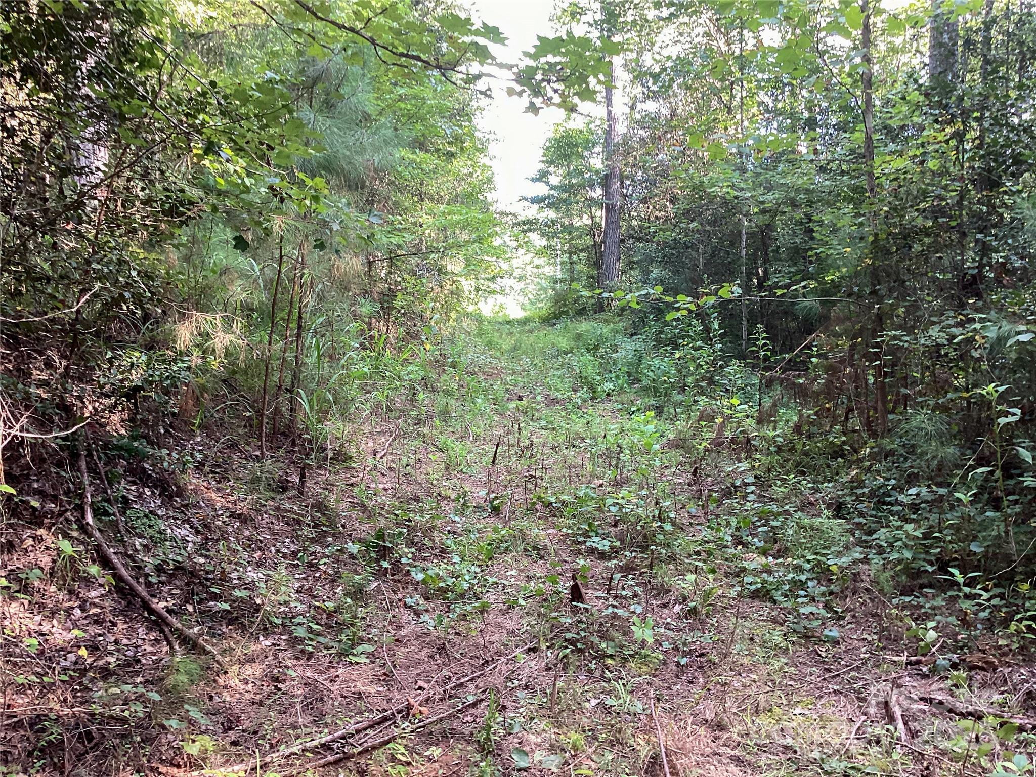 00 Scenic Drive 182 Property Photo 9