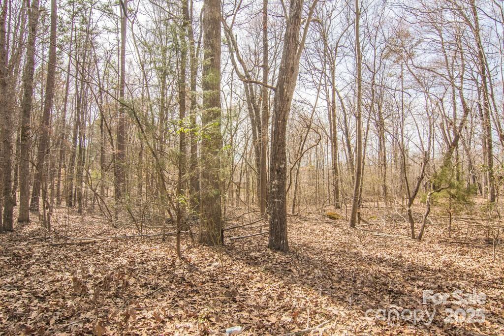 000 Jim Wilson Road Property Photo 1