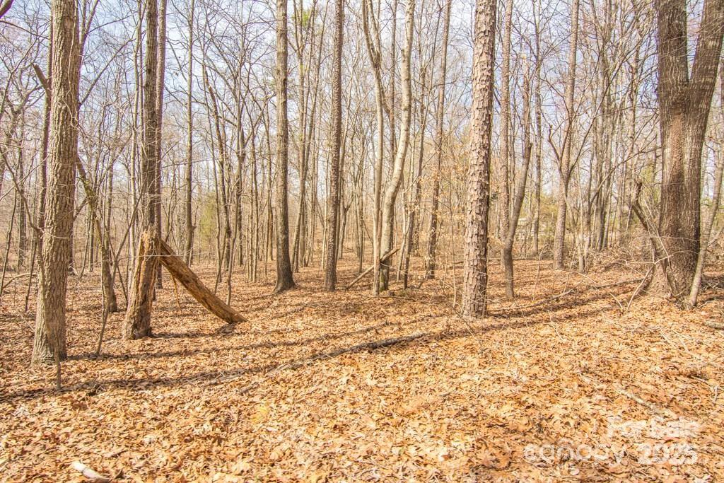 000 Jim Wilson Road Property Photo 2