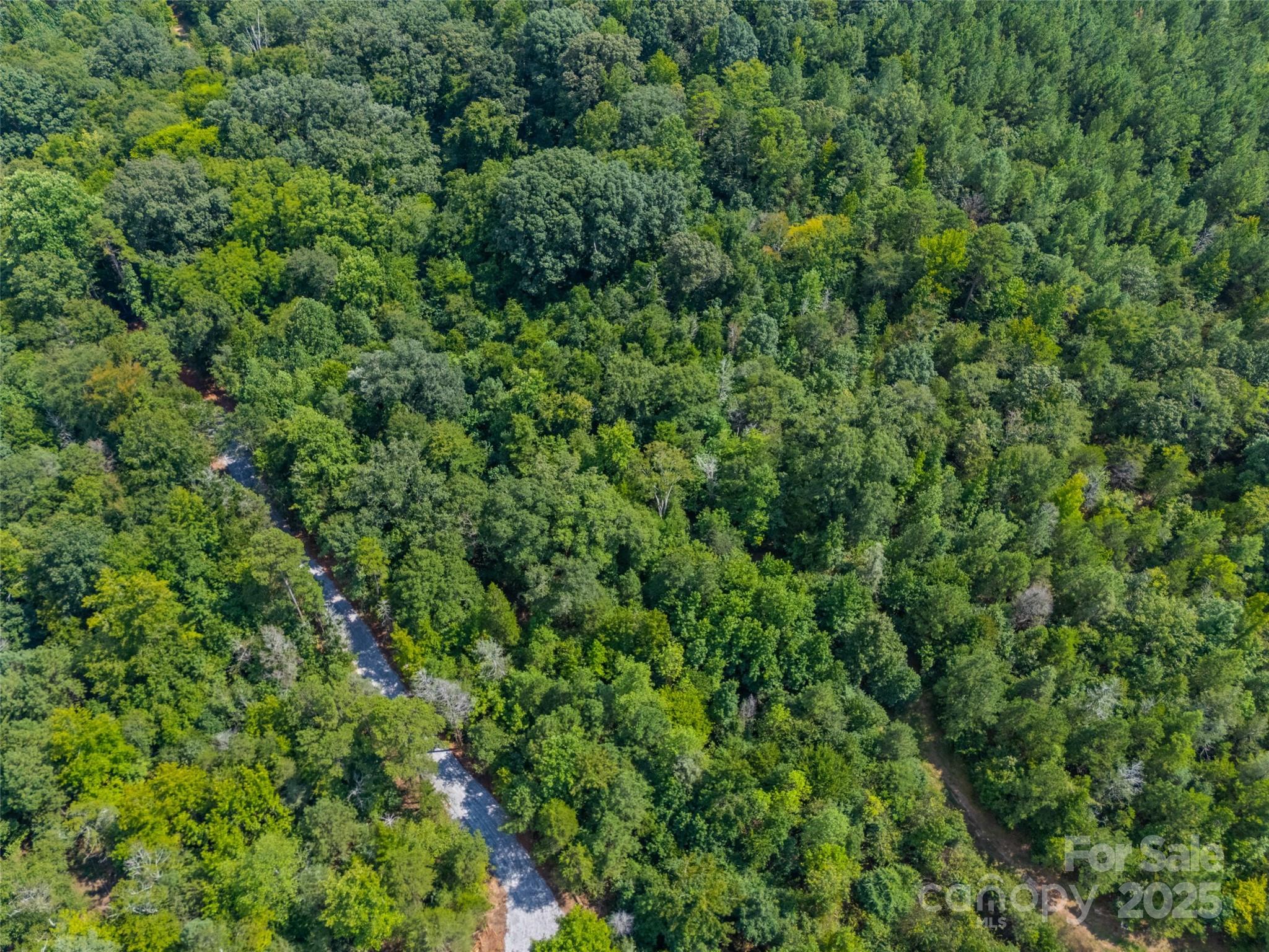 Lot 2 Ratteree Farms Road 2 Property Photo 2