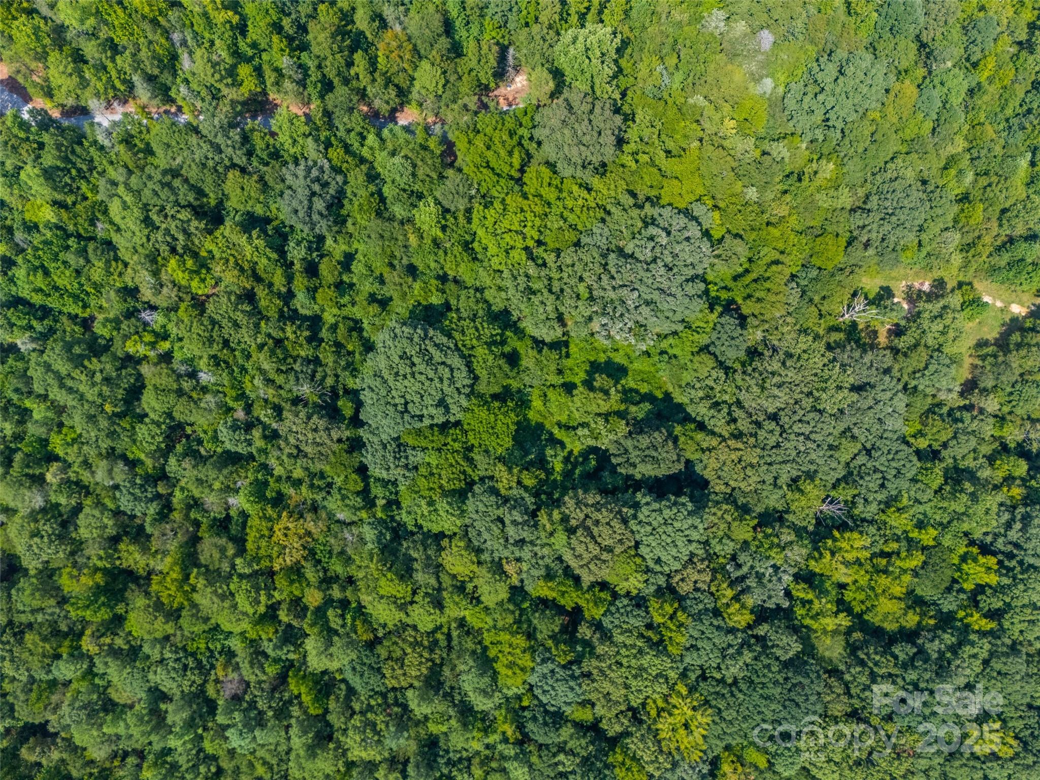 Lot 2 Ratteree Farms Road 2 Property Photo 4