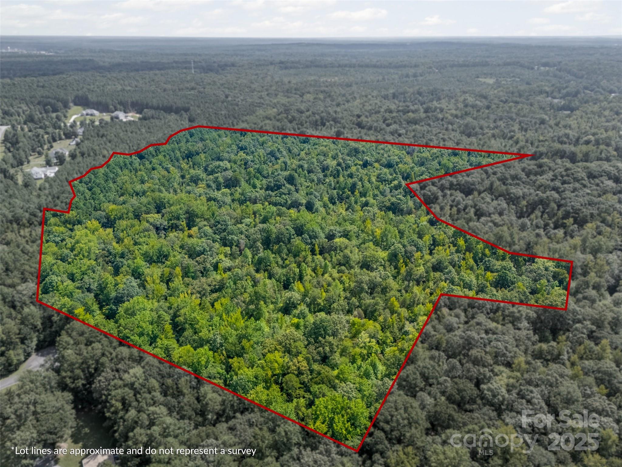57 Acres Woodstock Drive Property Photo 1