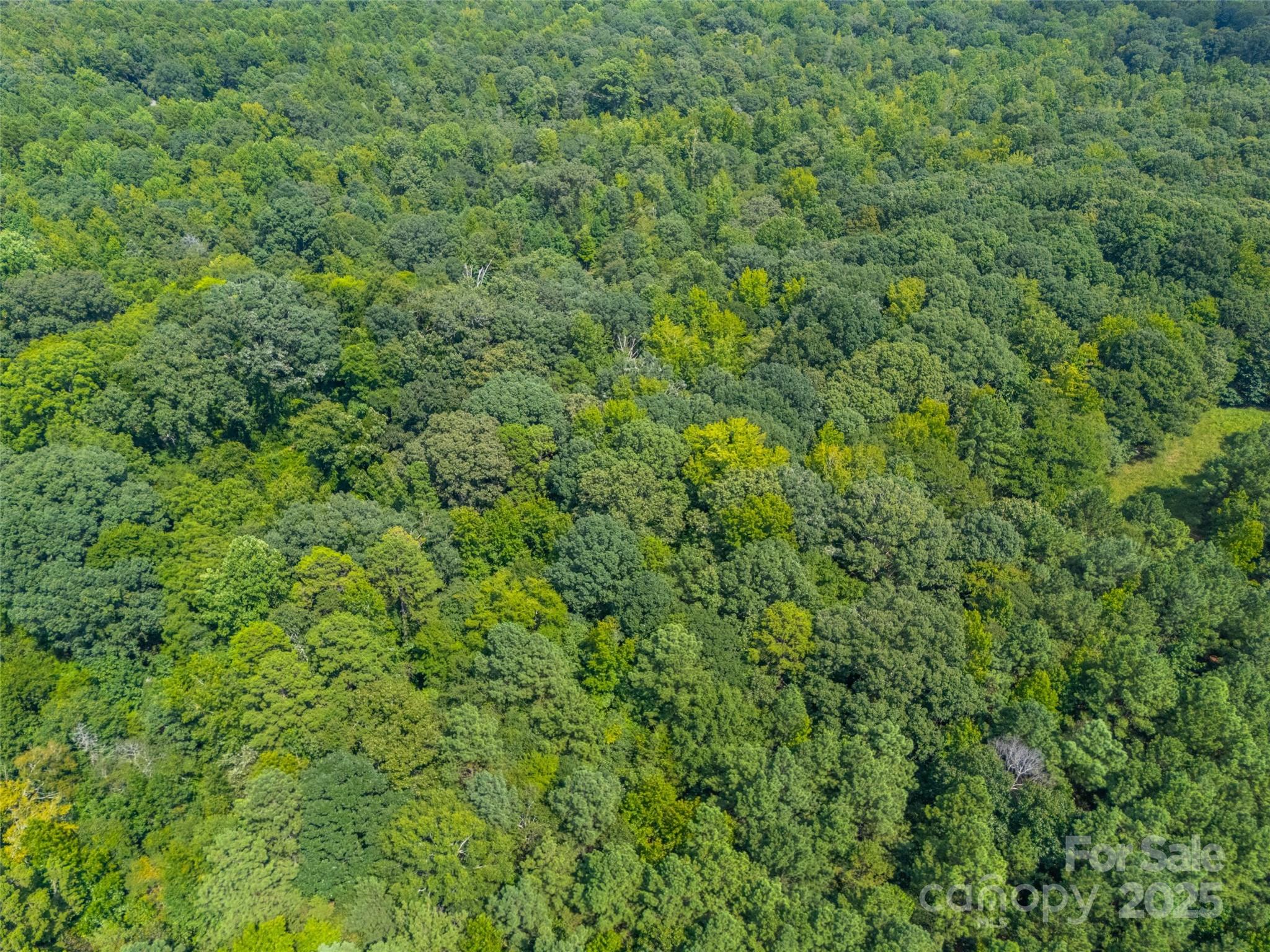 57 Acres Woodstock Drive Property Photo 3