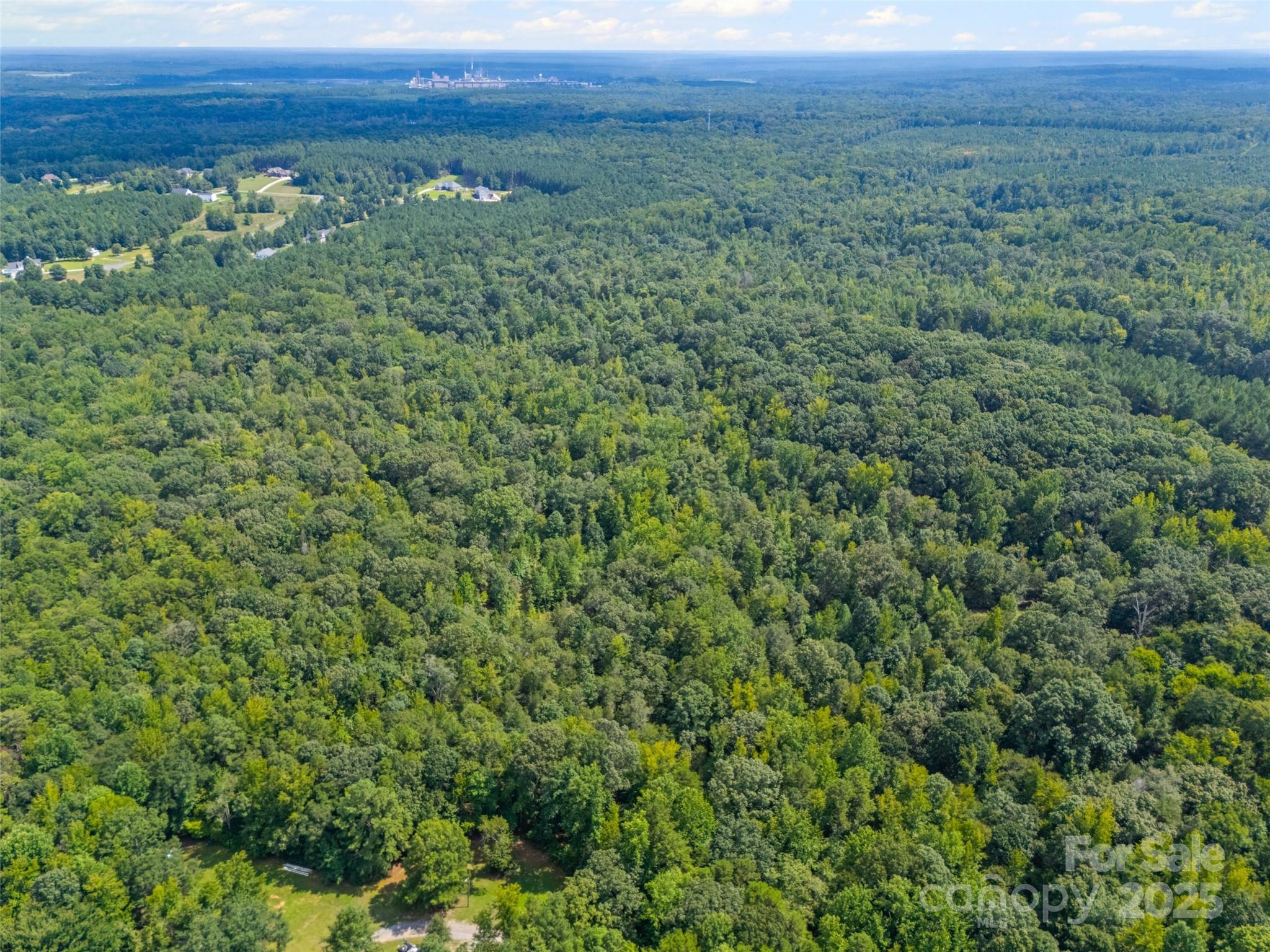 57 Acres Woodstock Drive Property Photo 4