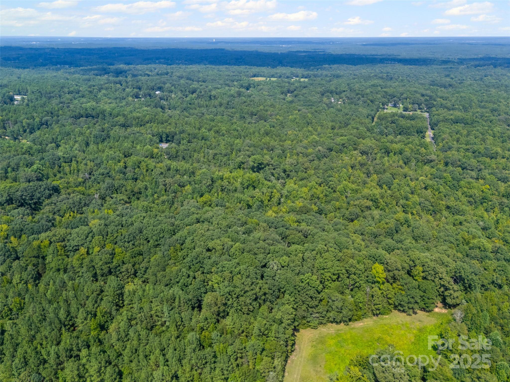 57 Acres Woodstock Drive Property Photo 5