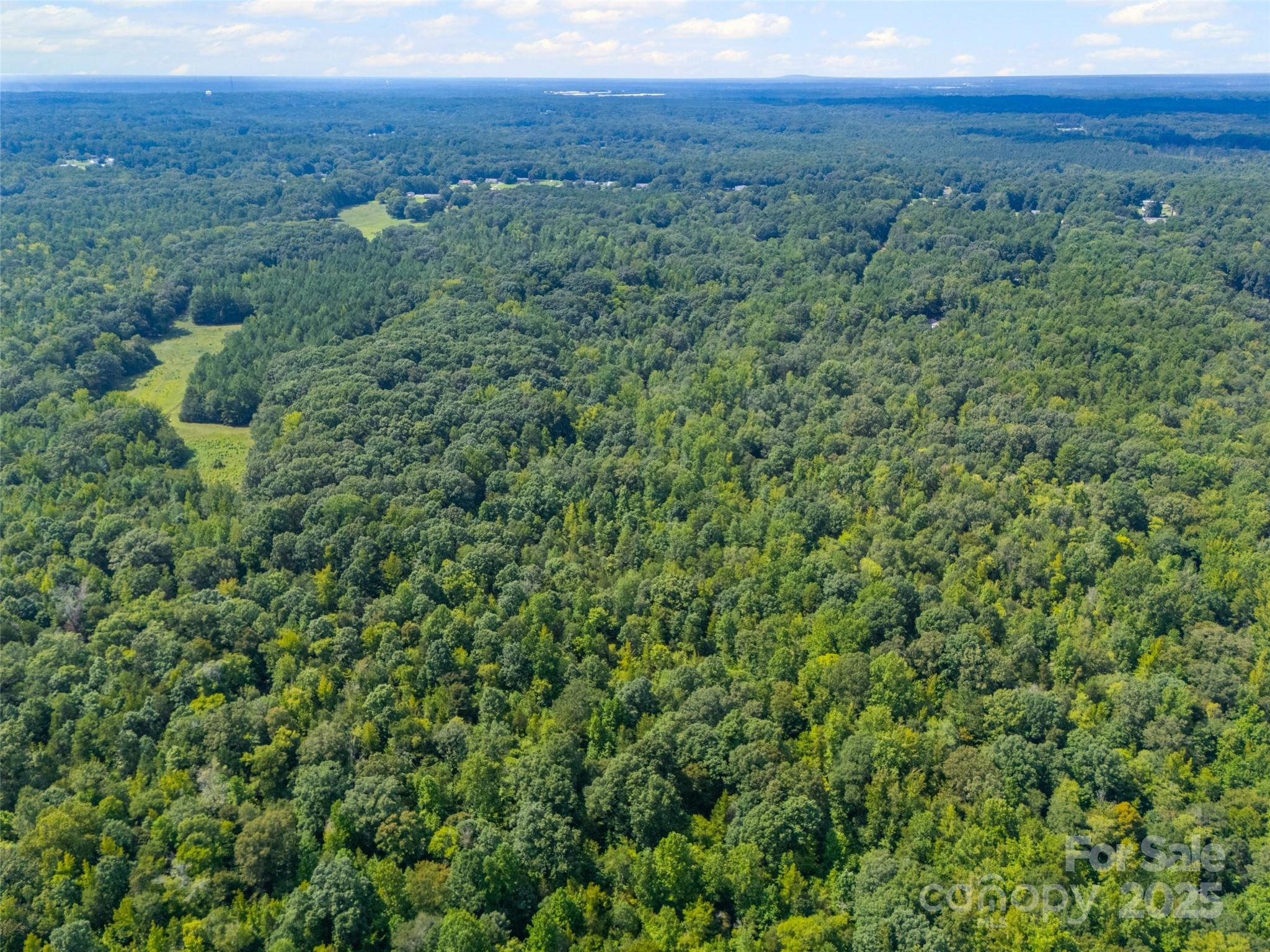 57 Acres Woodstock Drive Property Photo 6
