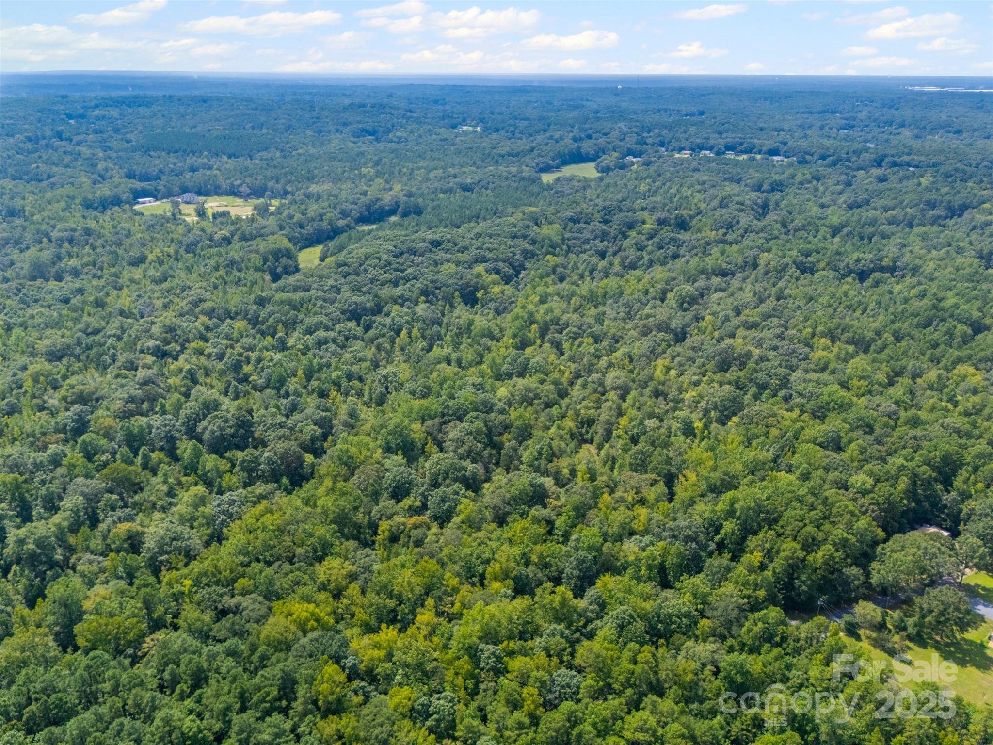 57 Acres Woodstock Drive Property Photo 7