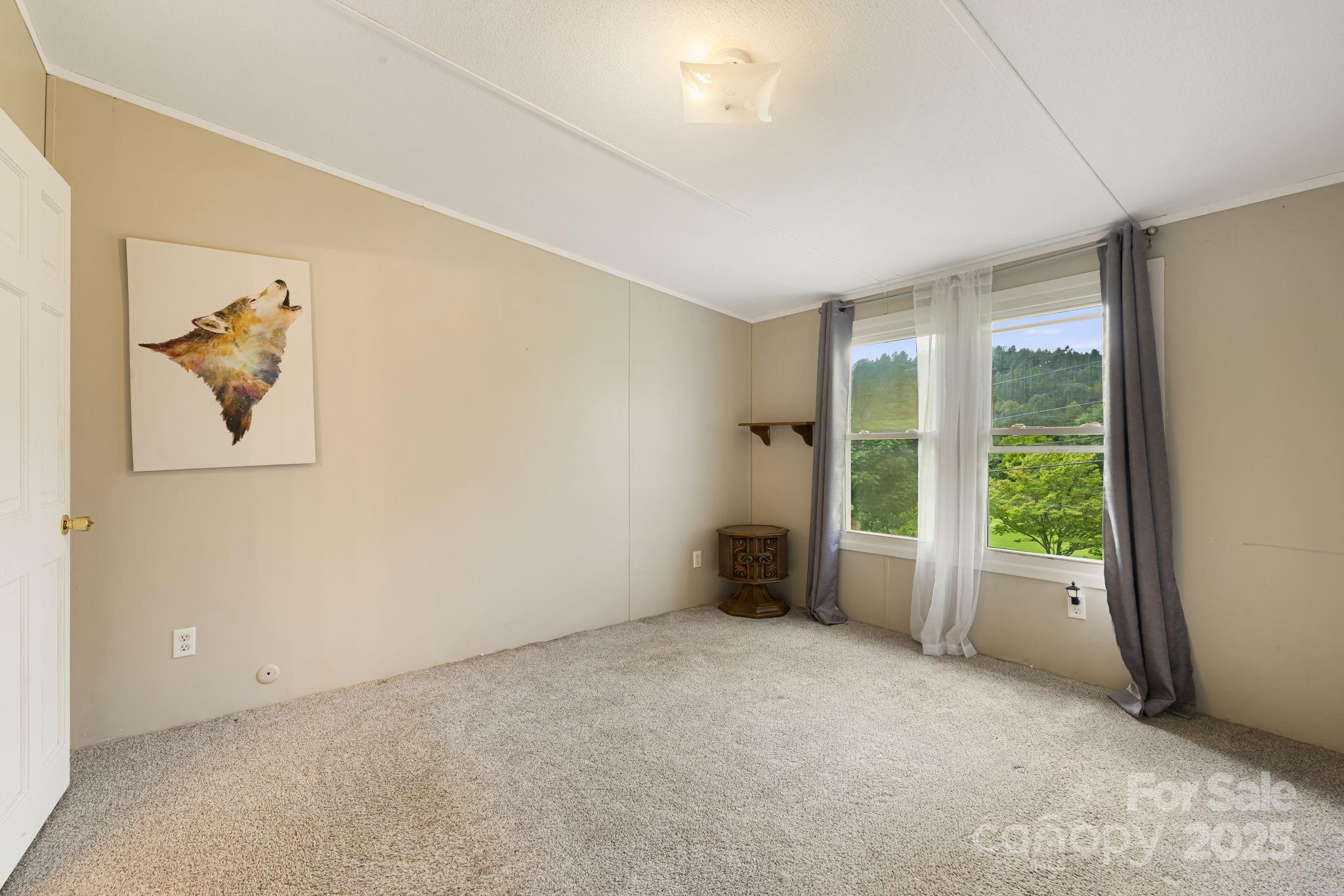 2490 Painters Gap Road Property Photo 16