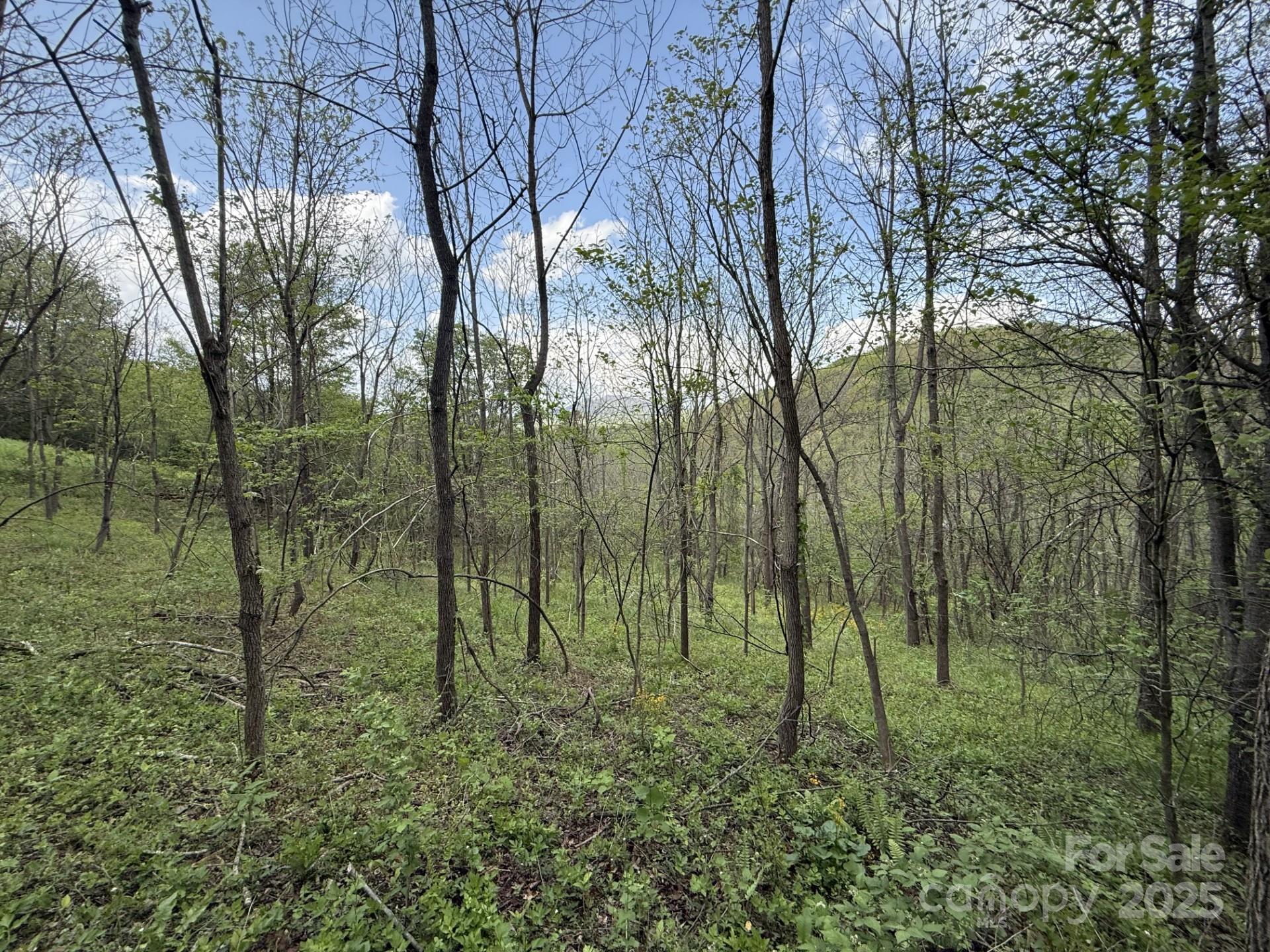 284 Northridge Drive Property Photo 4