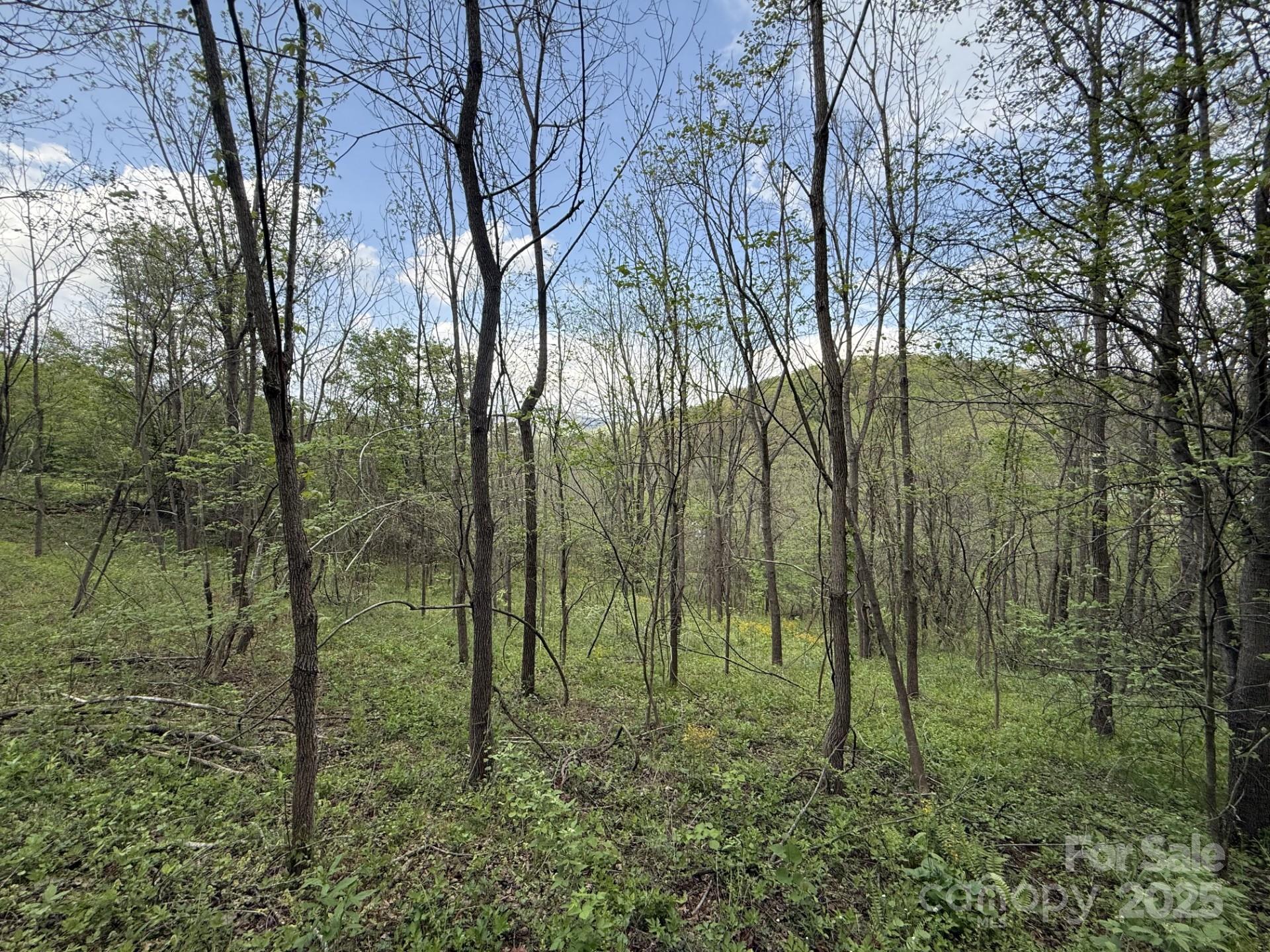 284 Northridge Drive Property Photo 6