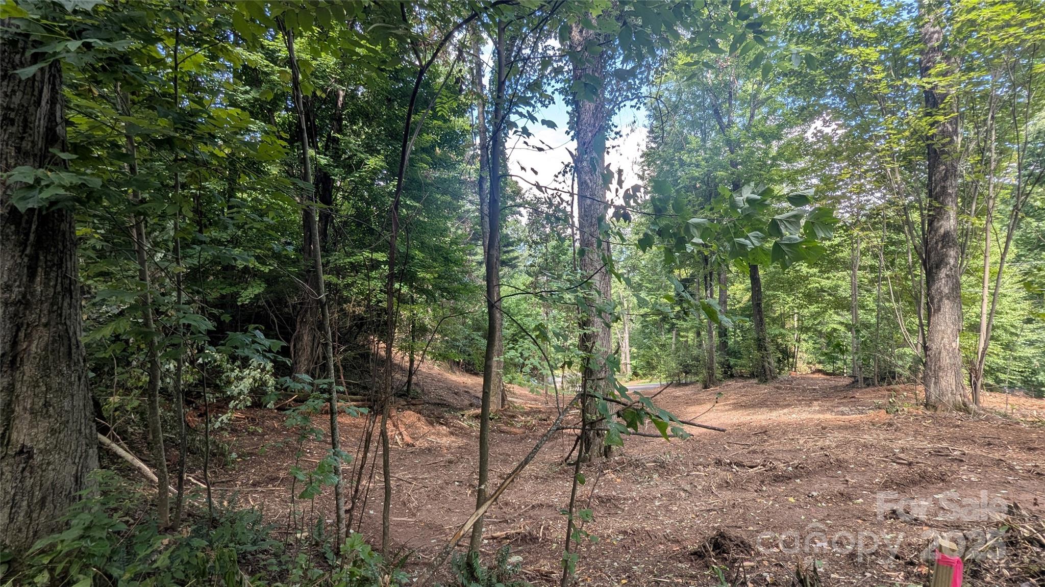 48 Apple Tree Court 2 Property Photo 3