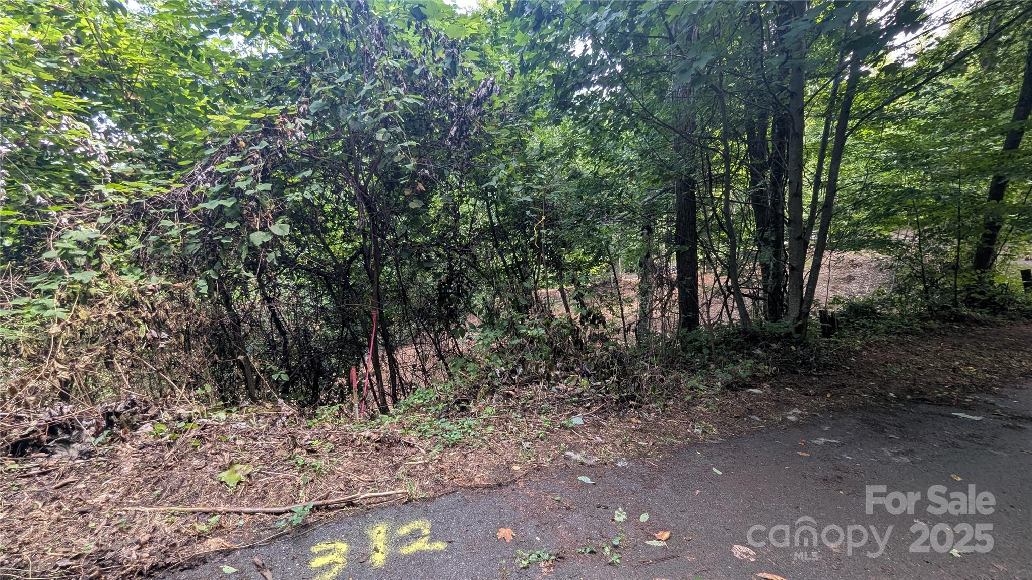 48 Apple Tree Court 2 Property Photo 4