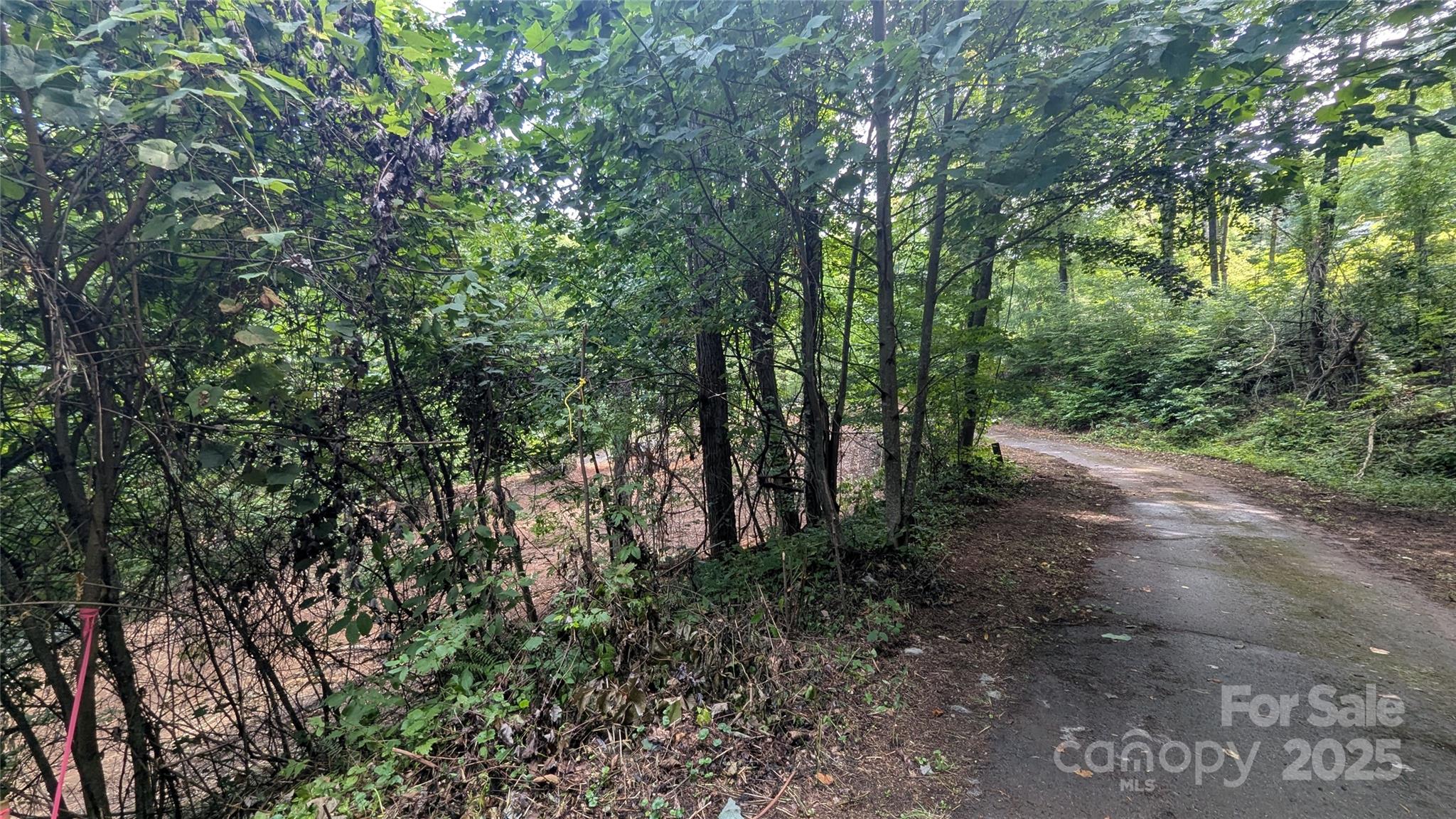 48 Apple Tree Court 2 Property Photo 5