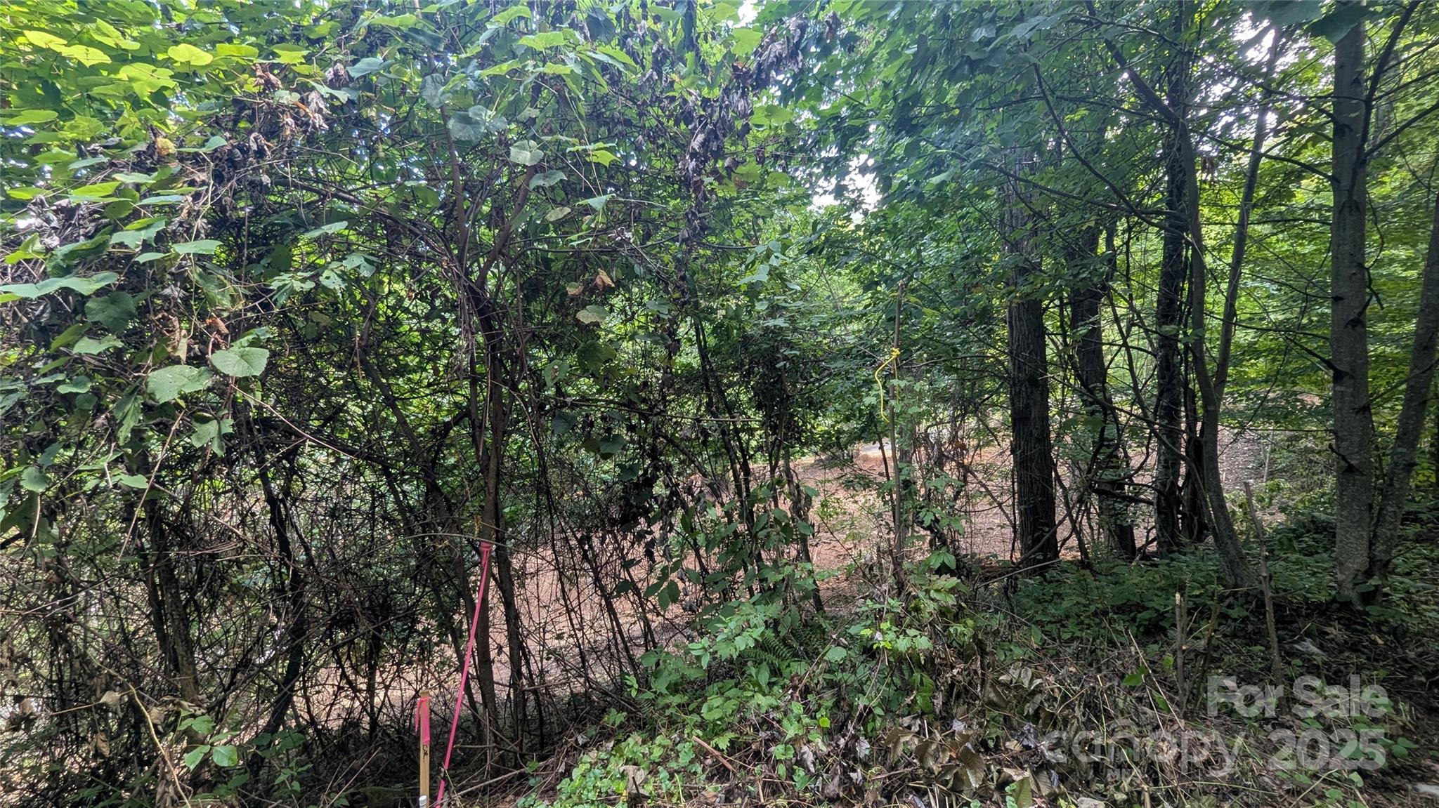 48 Apple Tree Court 2 Property Photo 6