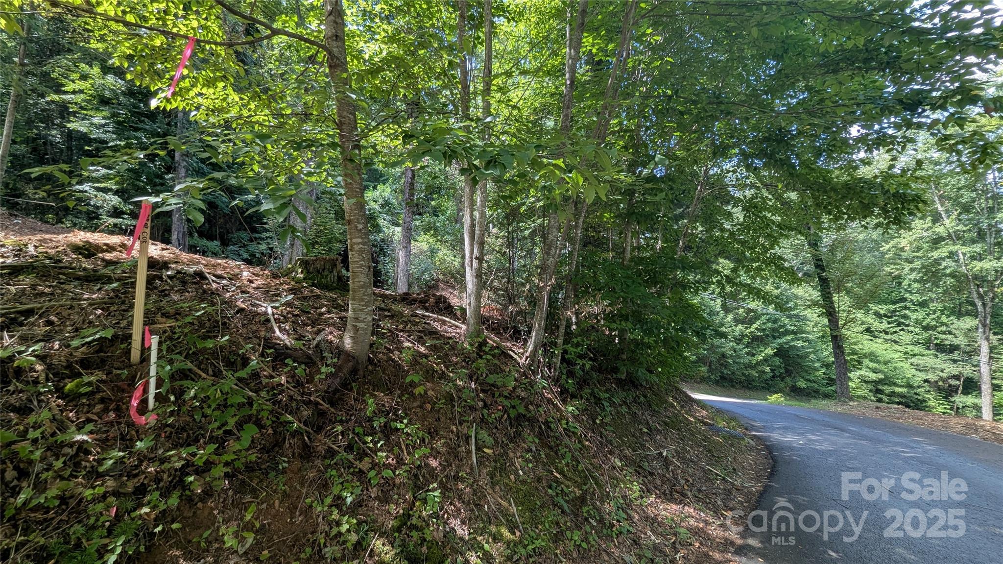 48 Apple Tree Court 2 Property Photo 7