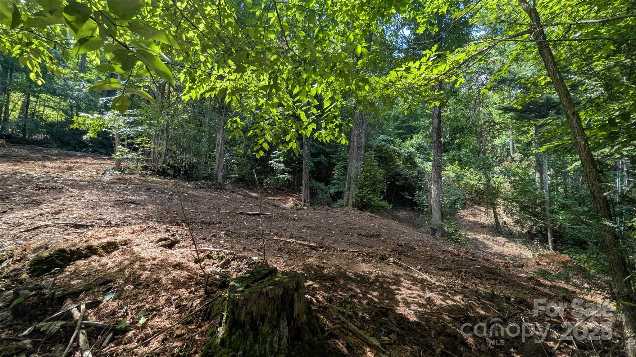 48 Apple Tree Court 2 Property Photo 8