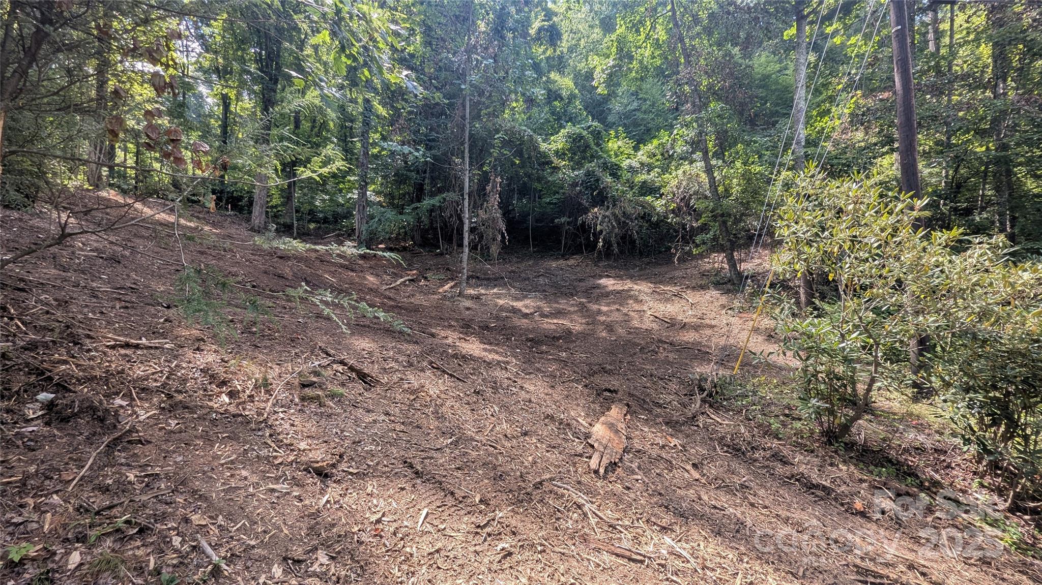 48 Apple Tree Court 2 Property Photo 9