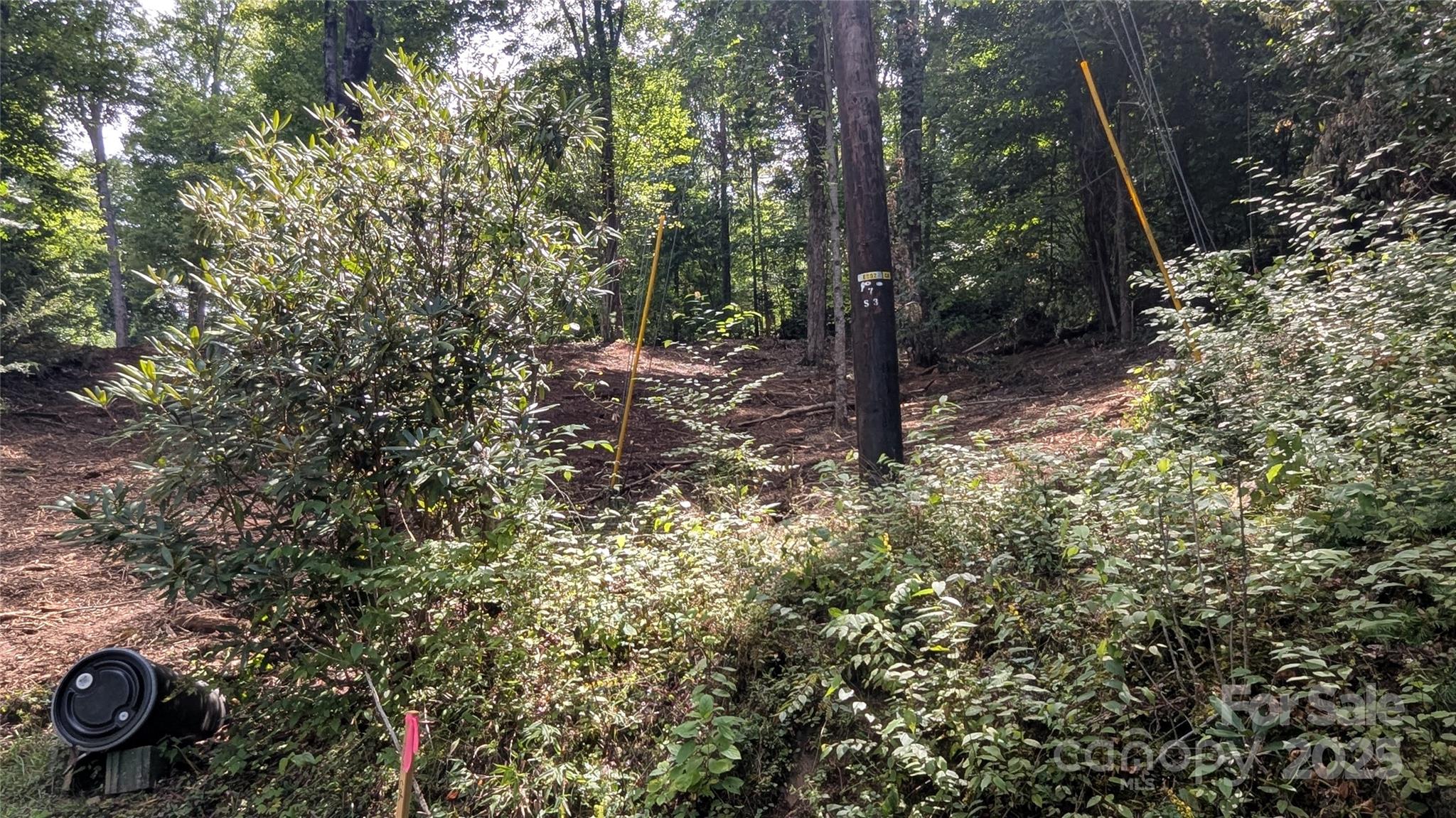 48 Apple Tree Court 2 Property Photo 12