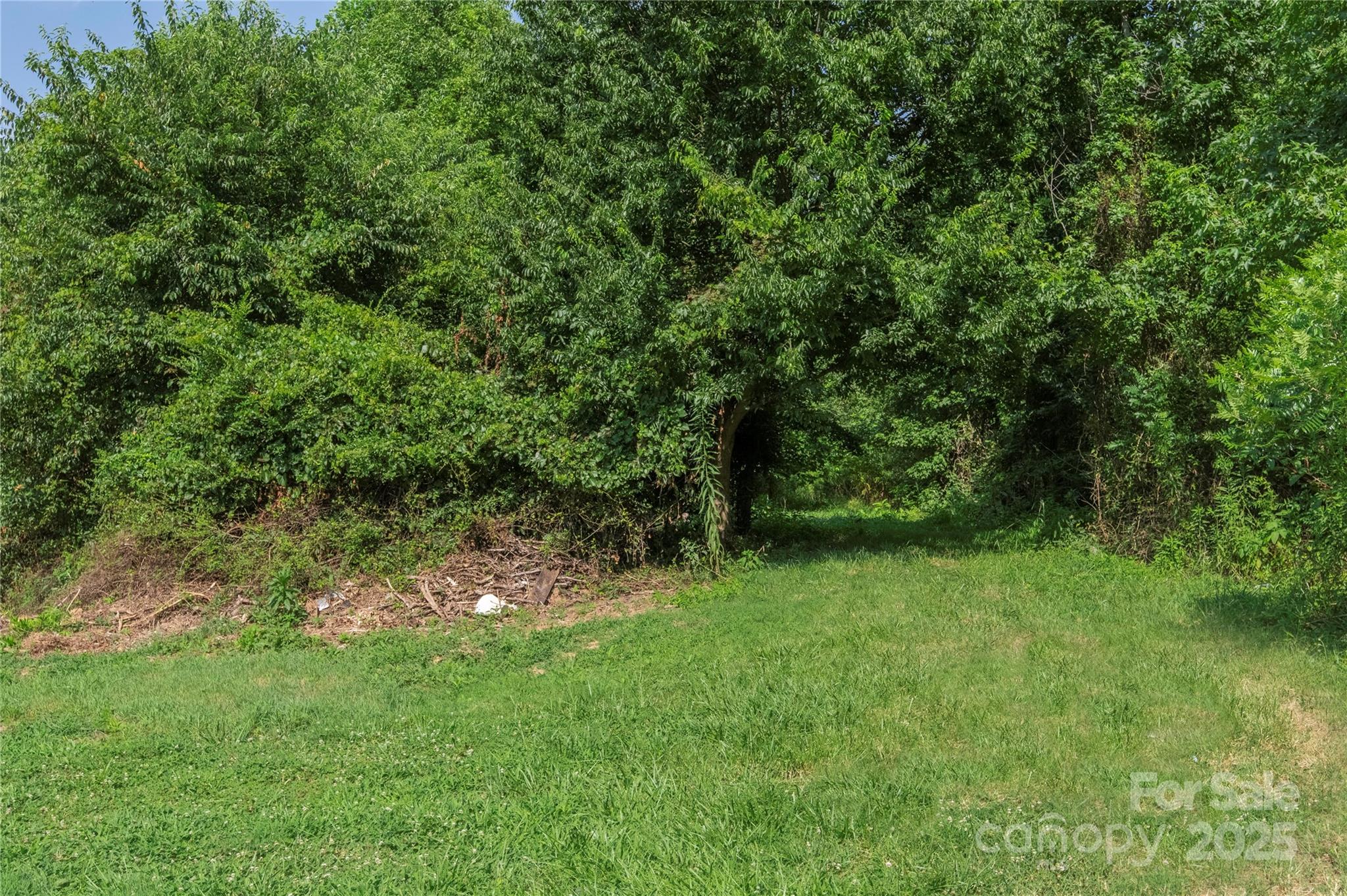 567 Shinnville Road Property Photo 9