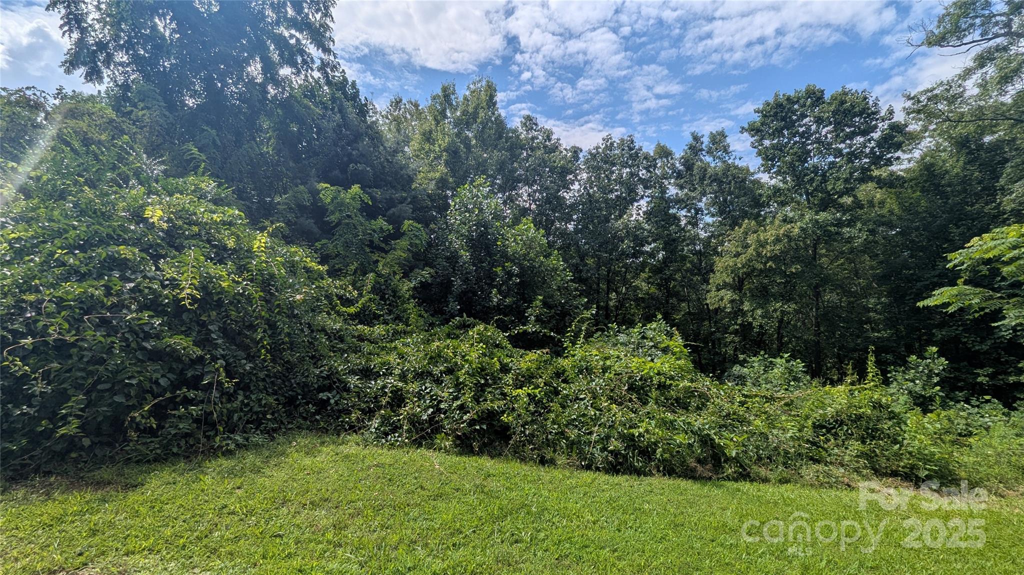 00 Pinewood Drive 7 Property Photo 1