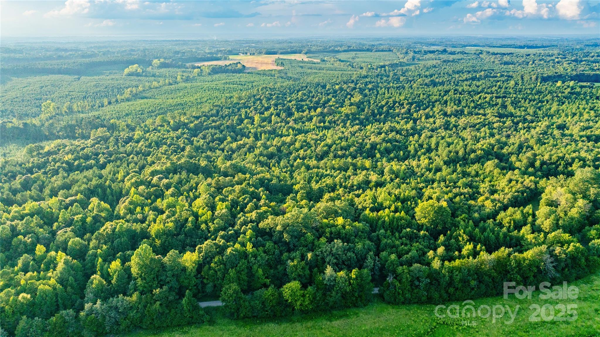 000 Daystar Road 9 Property Photo 4