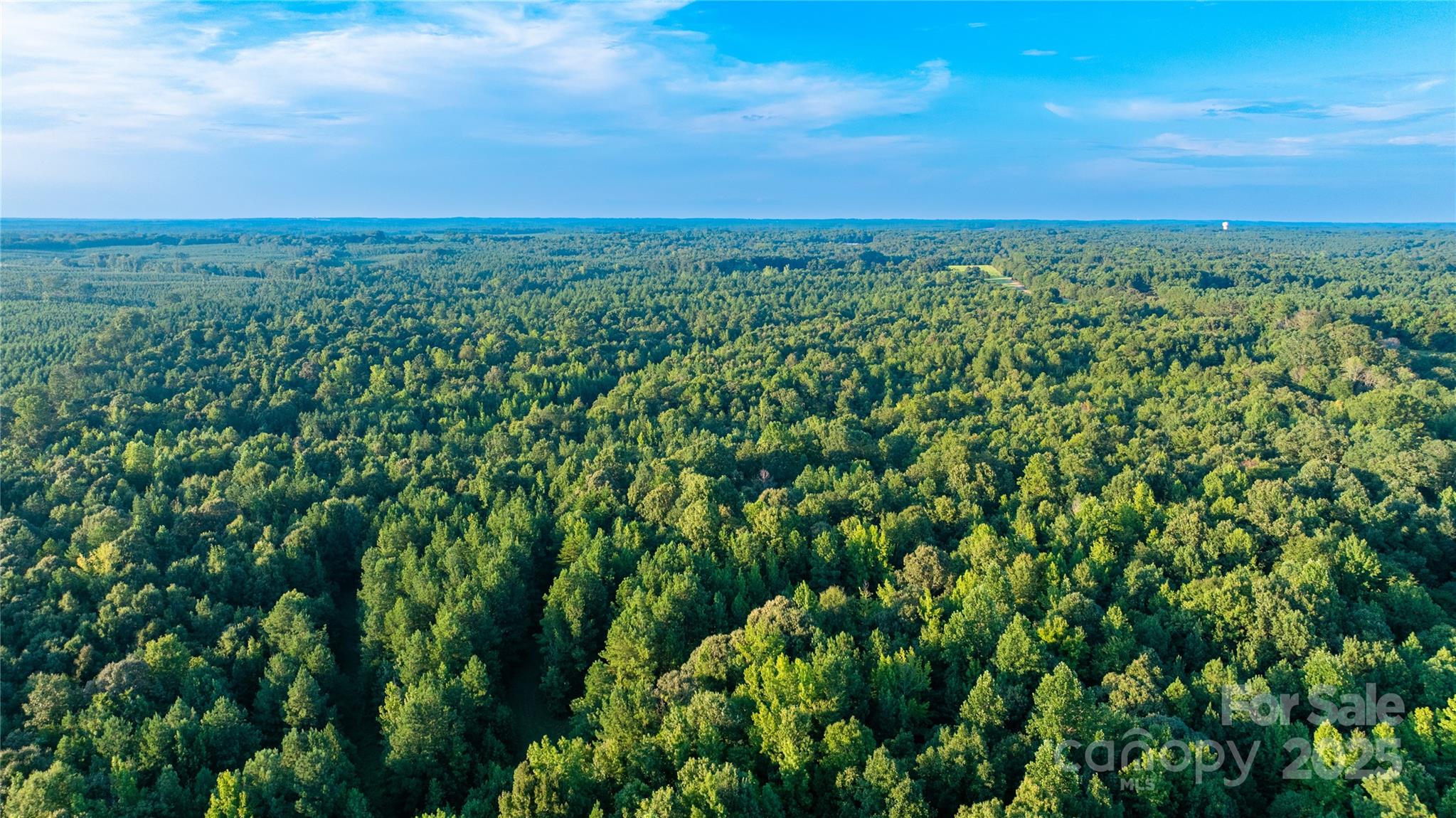 000 Daystar Road 9 Property Photo 5