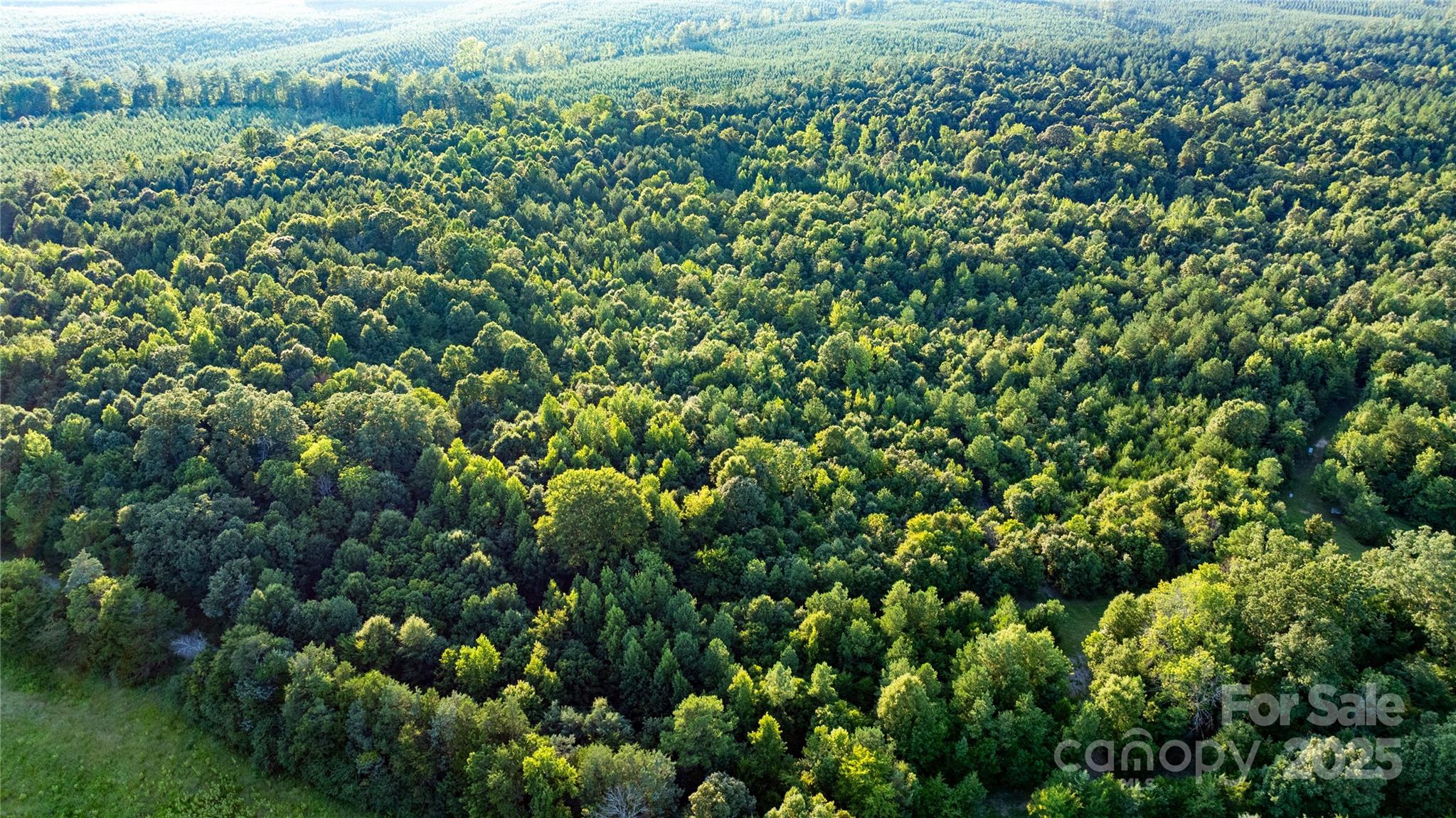 000 Daystar Road 9 Property Photo 7