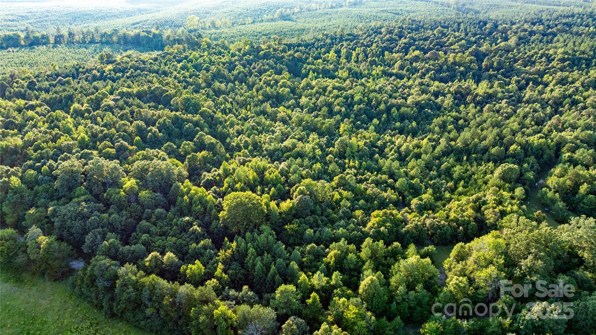 000 Daystar Road 9 Property Photo 8