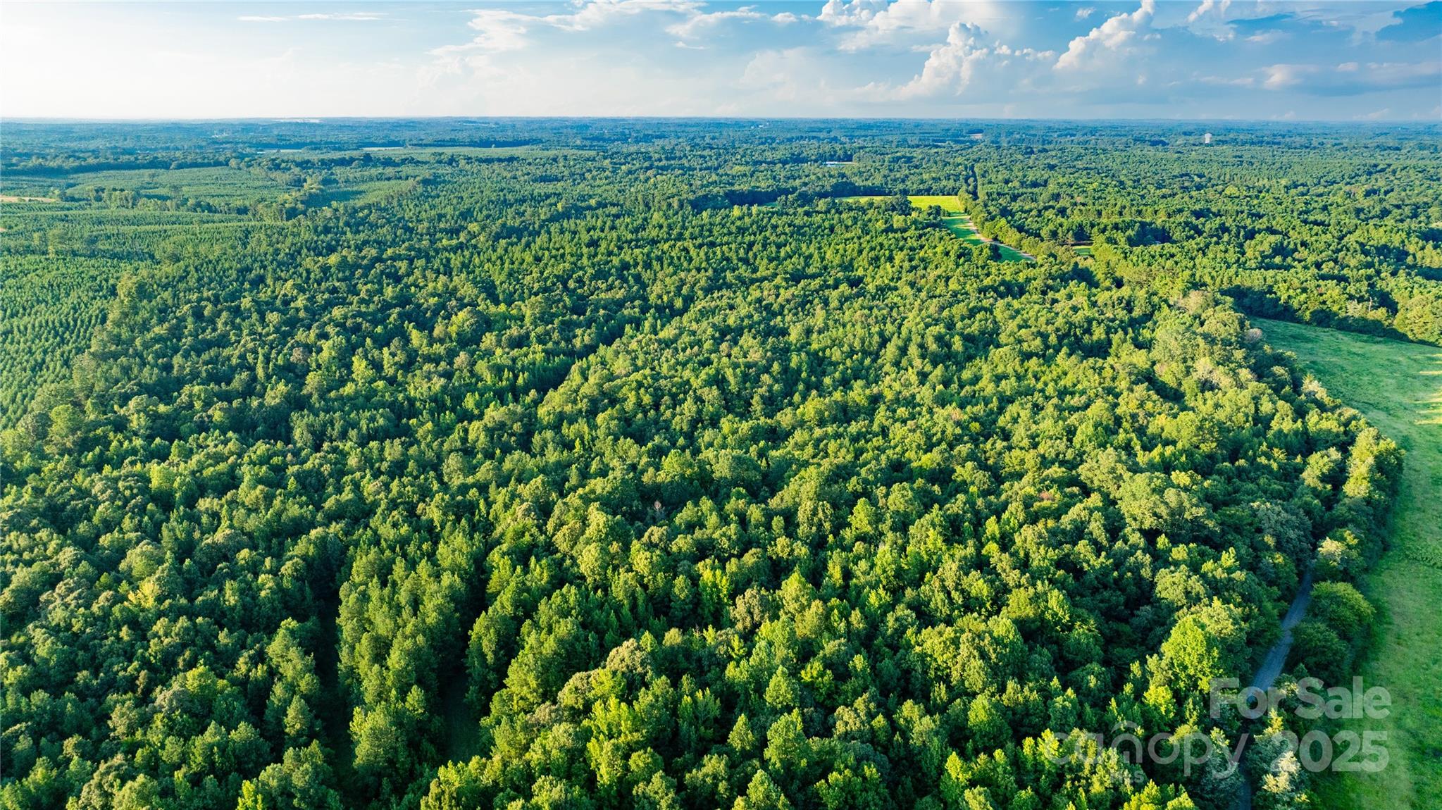 000 Daystar Road 9 Property Photo 9