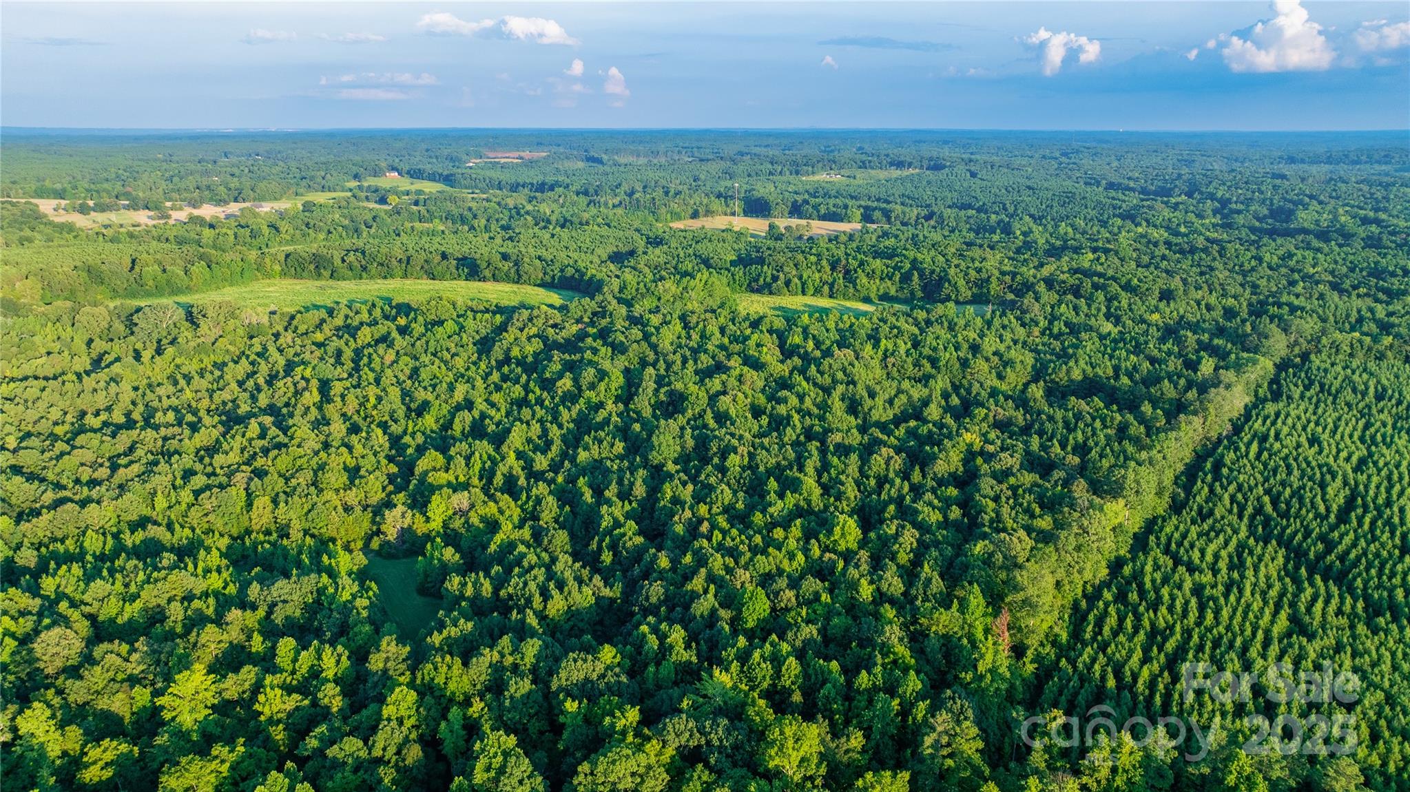 000 Daystar Road 9 Property Photo 11