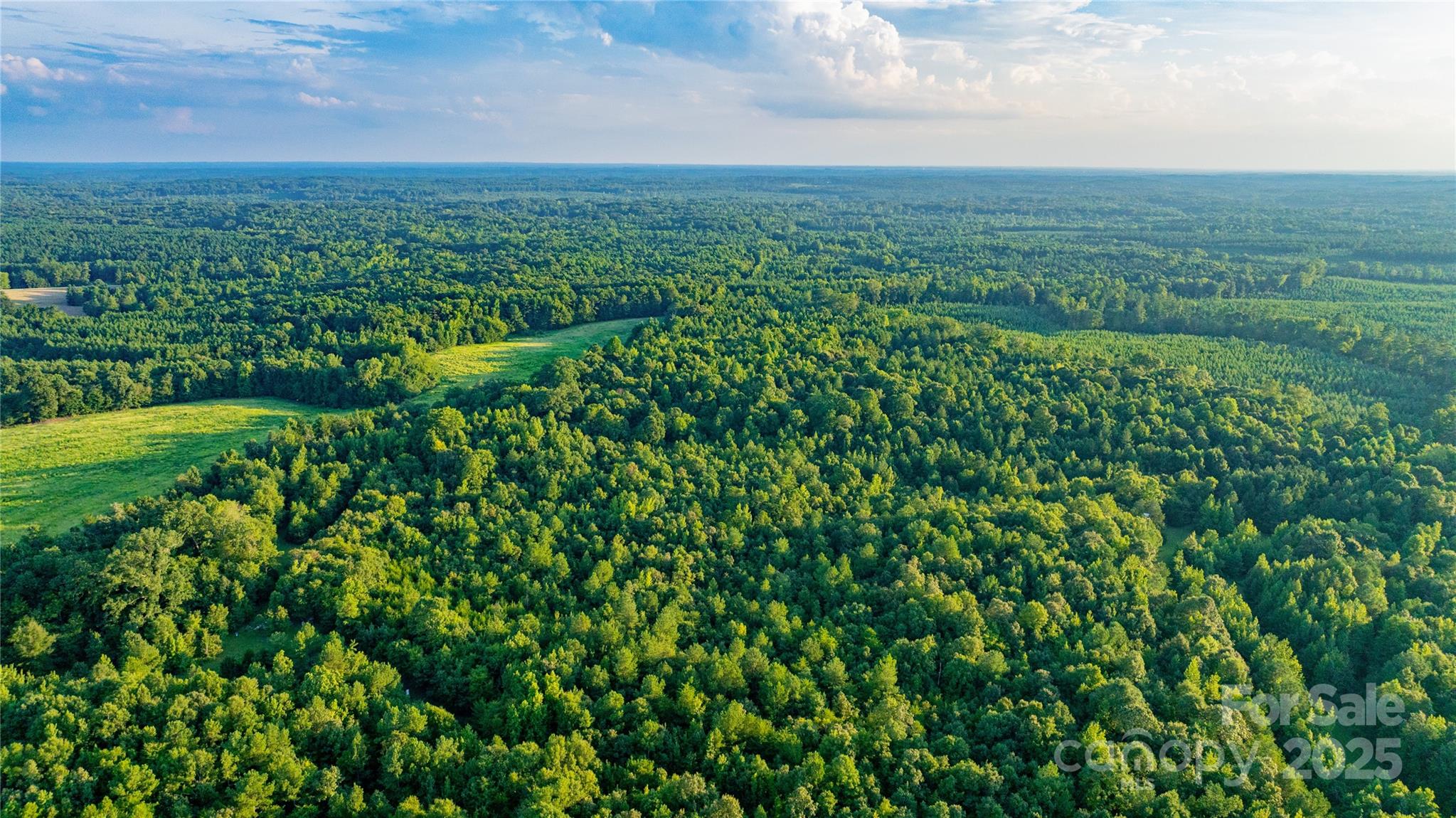 000 Daystar Road 9 Property Photo 13