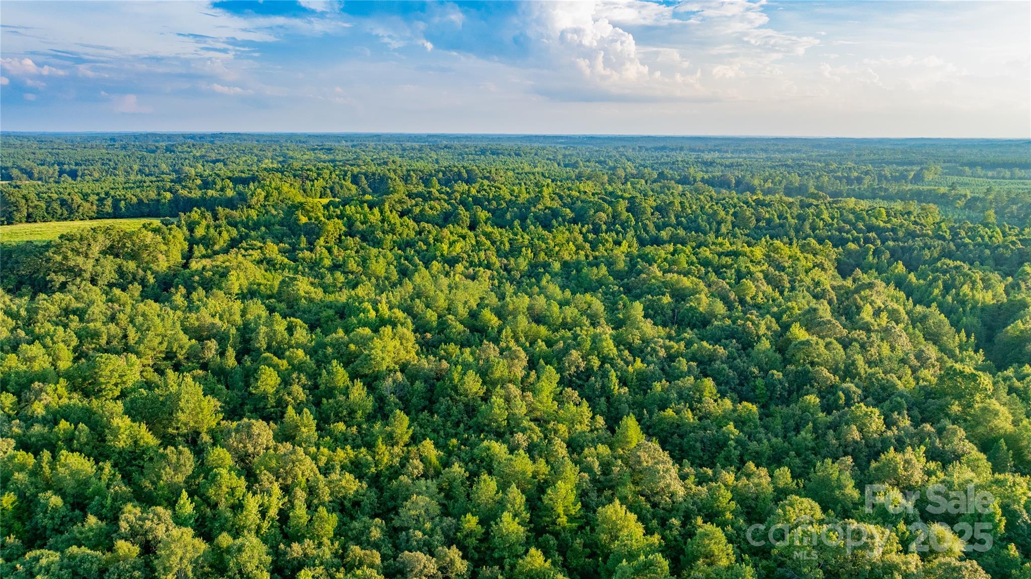 000 Daystar Road 9 Property Photo 14