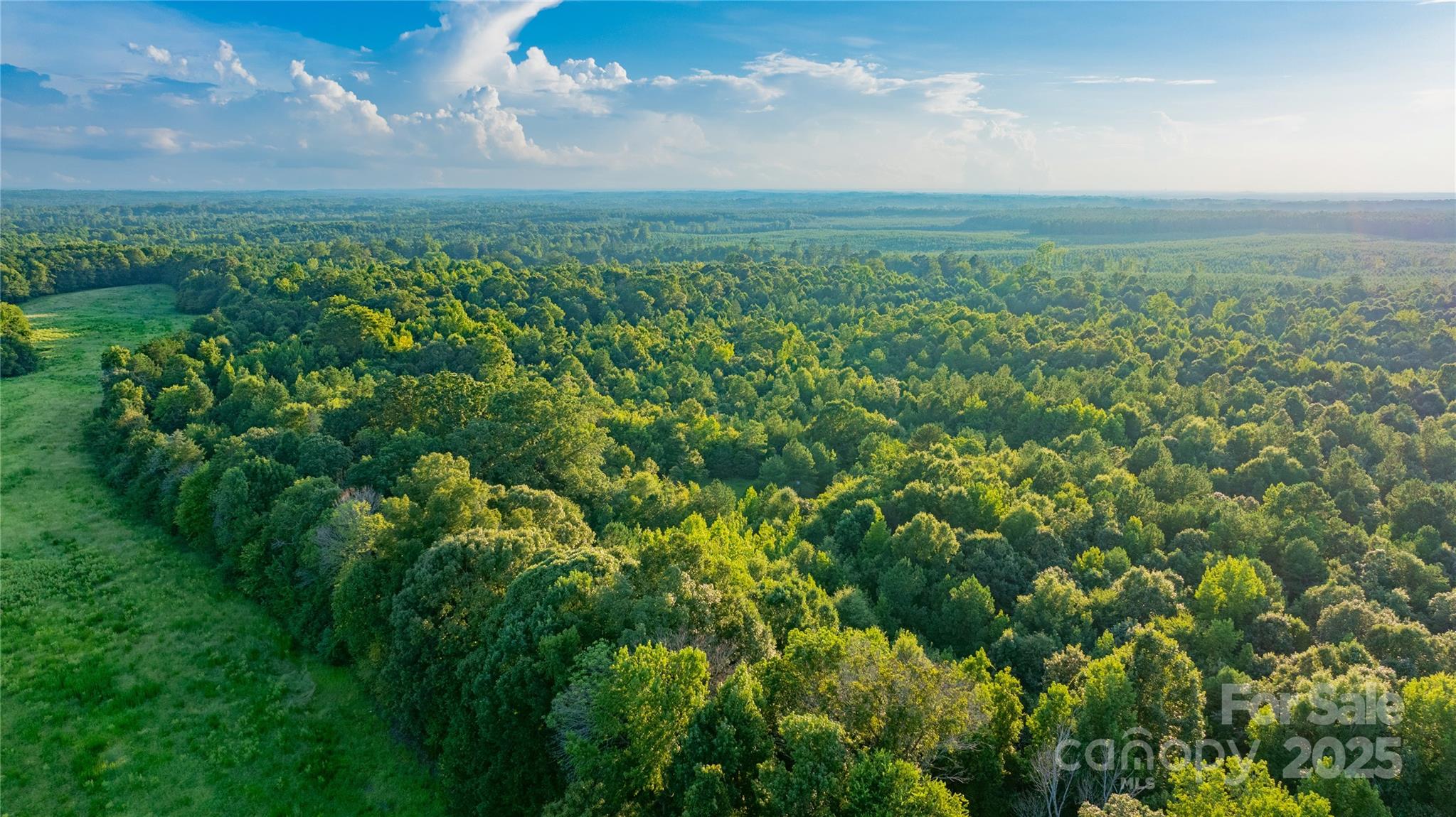 000 Daystar Road 9 Property Photo 15
