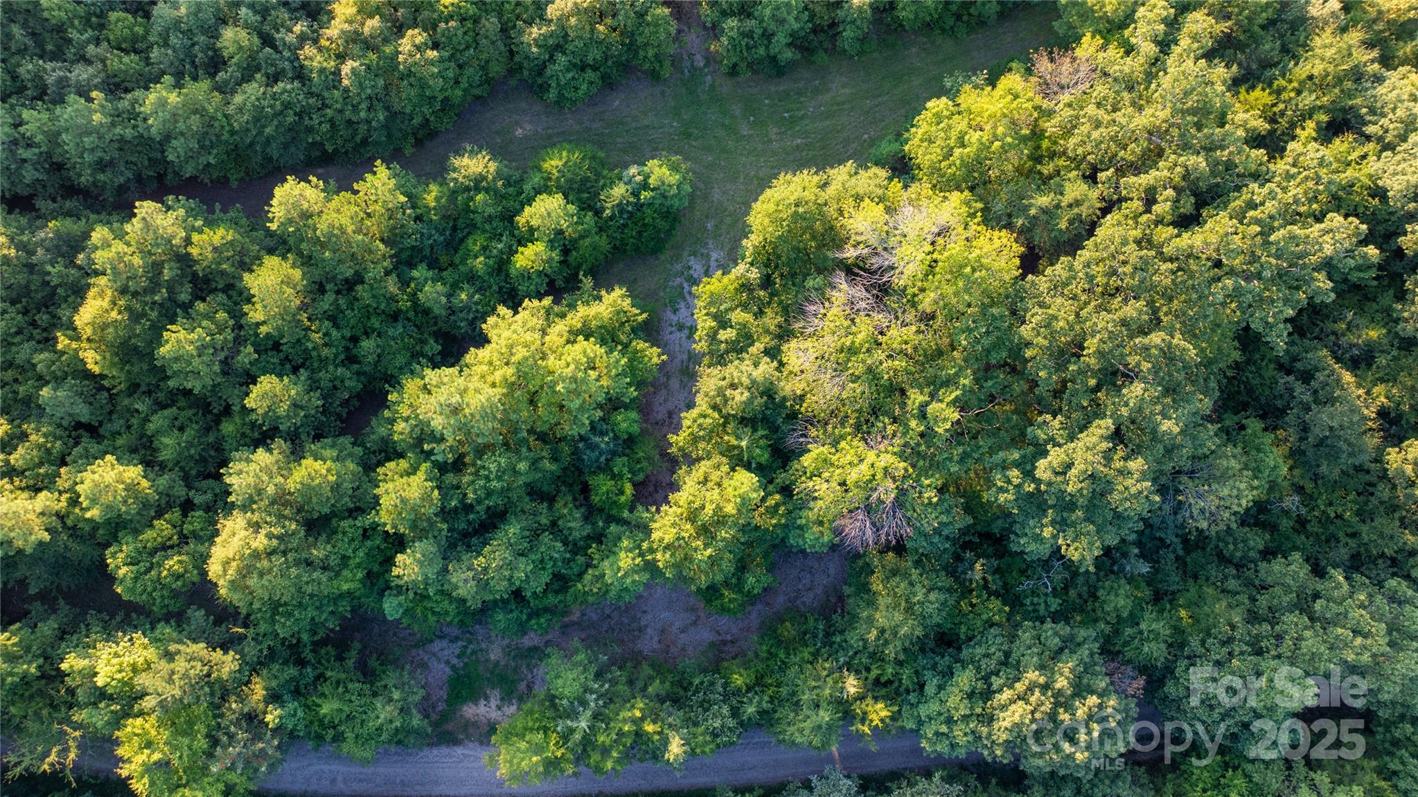 000 Daystar Road 9 Property Photo 19