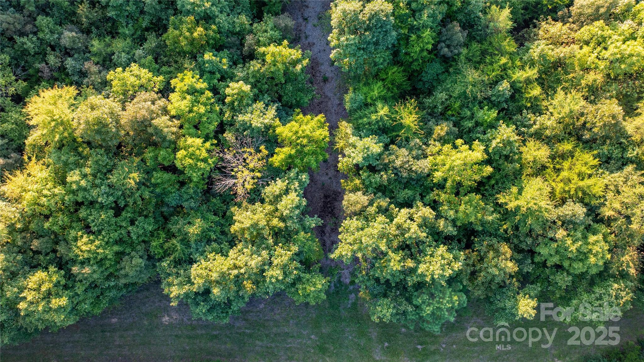 000 Daystar Road 9 Property Photo 20