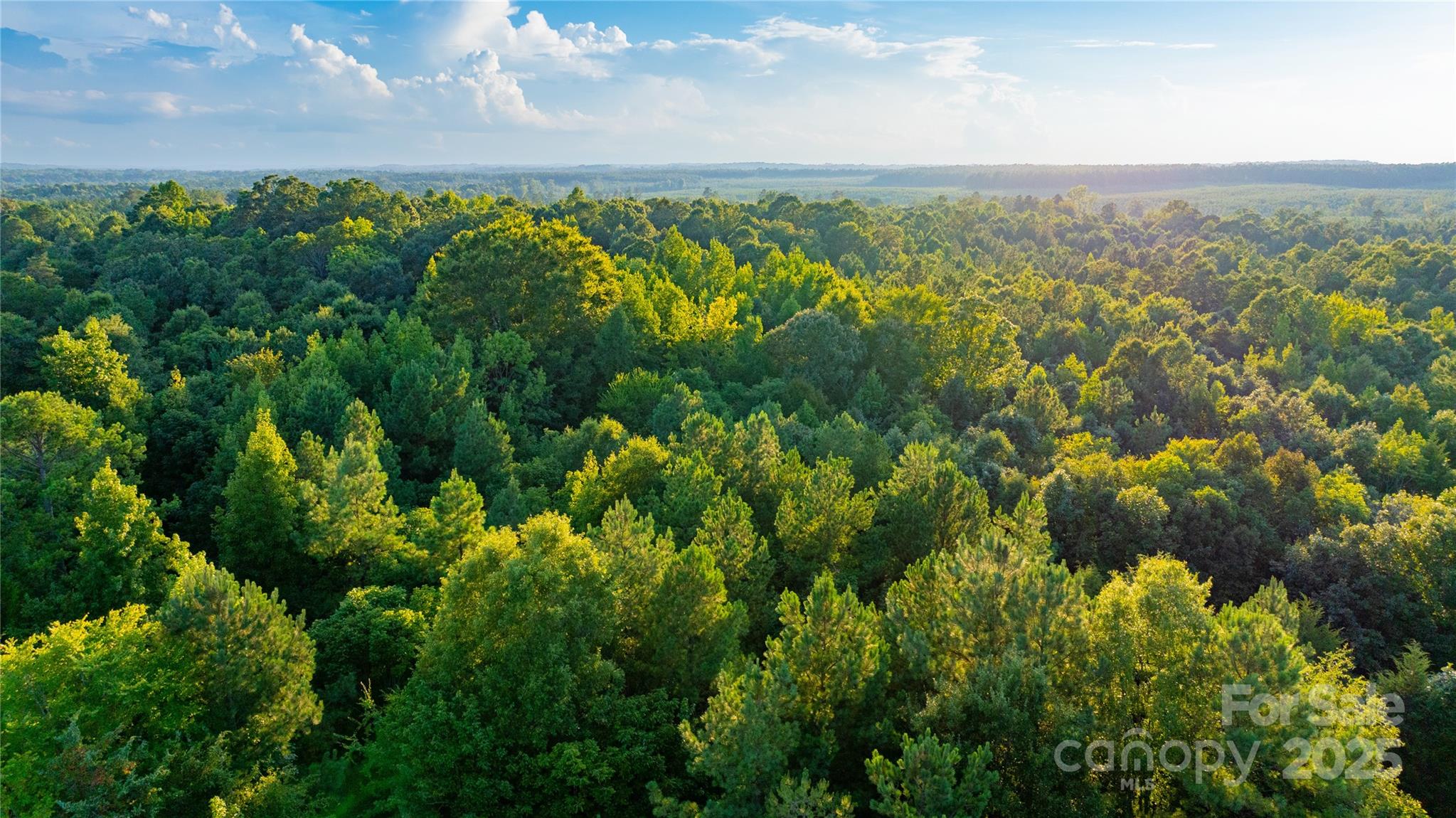 000 Daystar Road 9 Property Photo 22