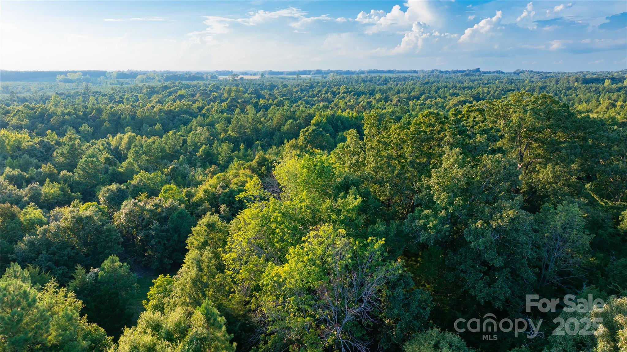 000 Daystar Road 9 Property Photo 23