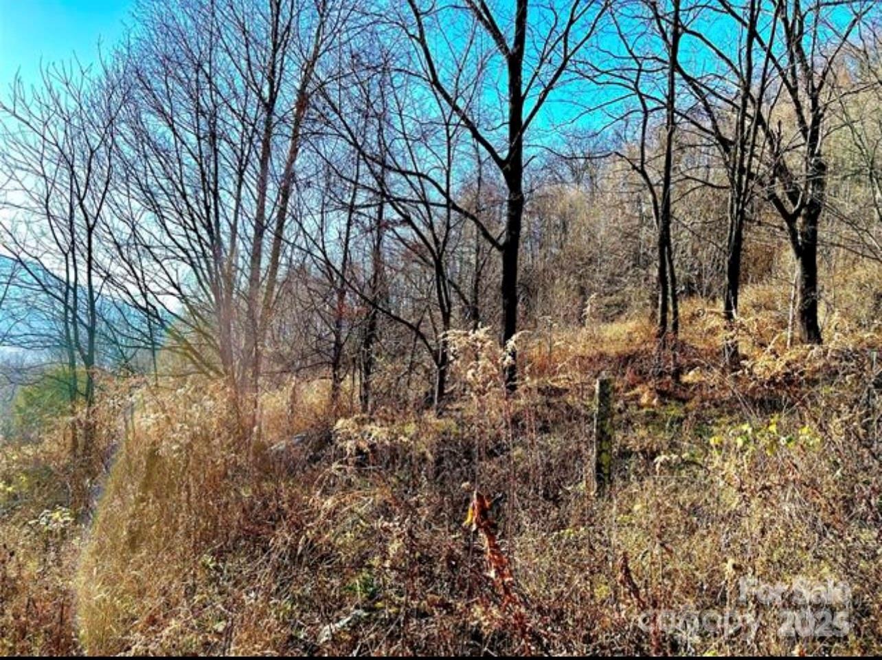 108 Lanning Road Property Photo 12