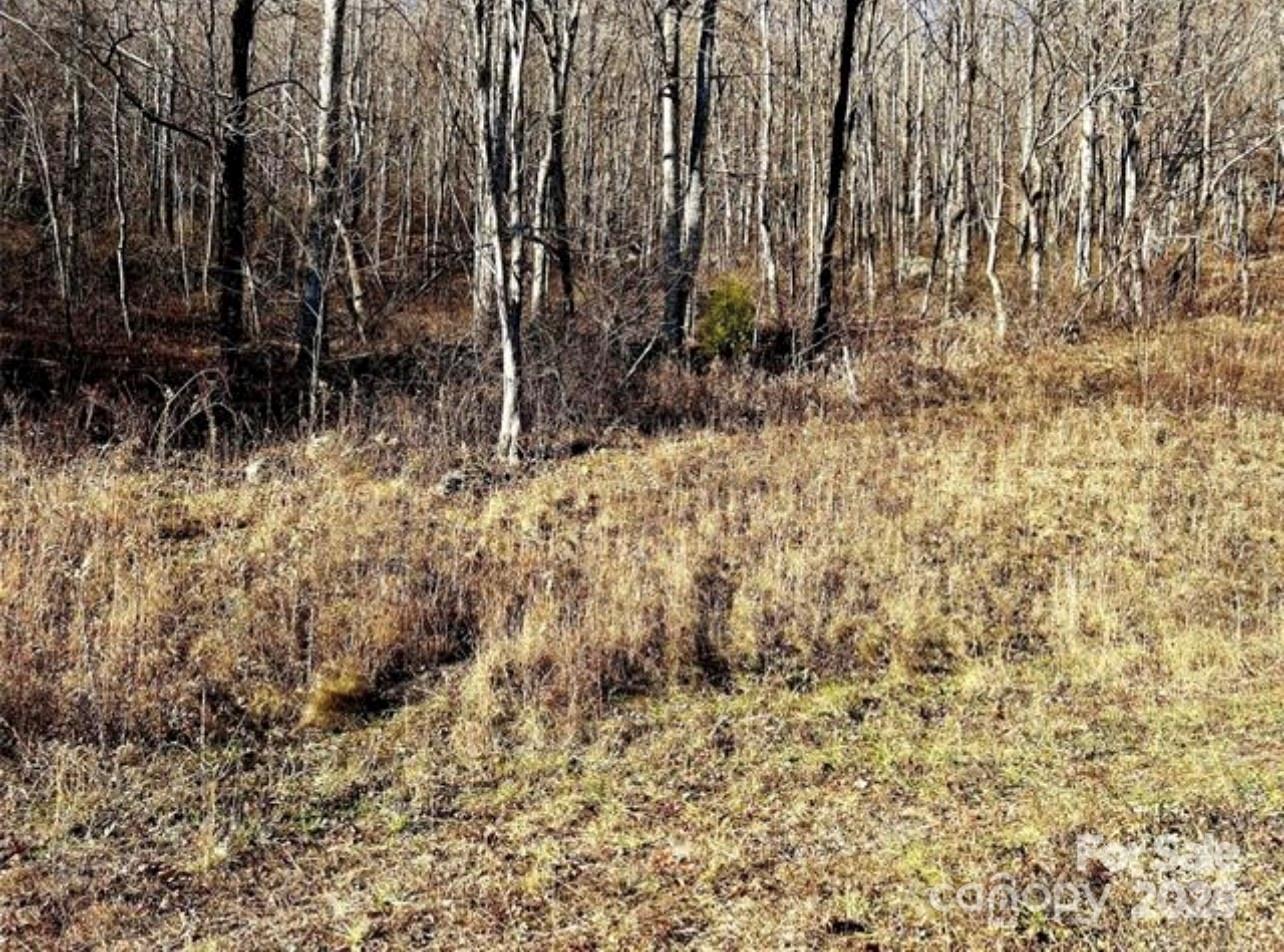 108 Lanning Road Property Photo 13